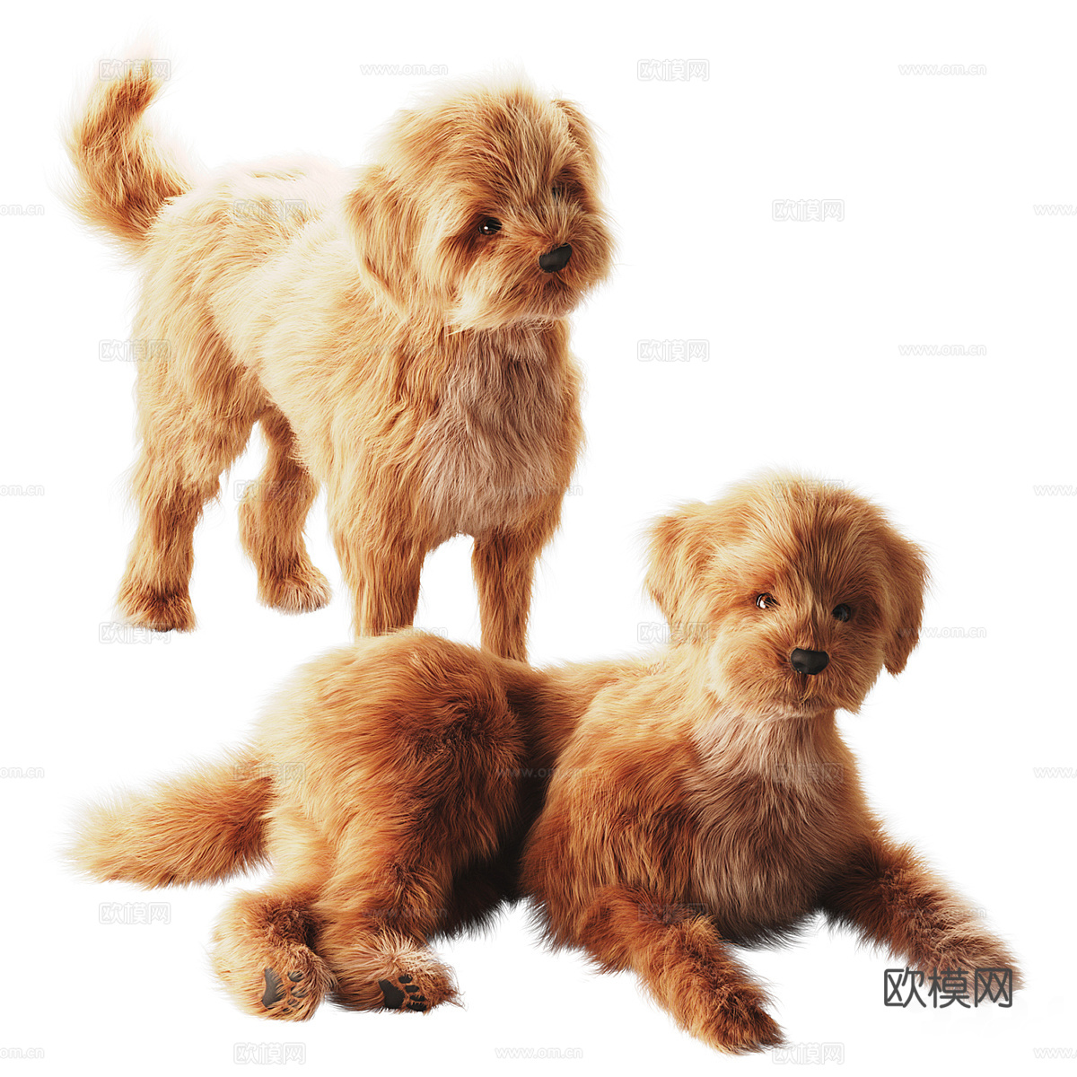 宠物狗 小型家犬3d模型