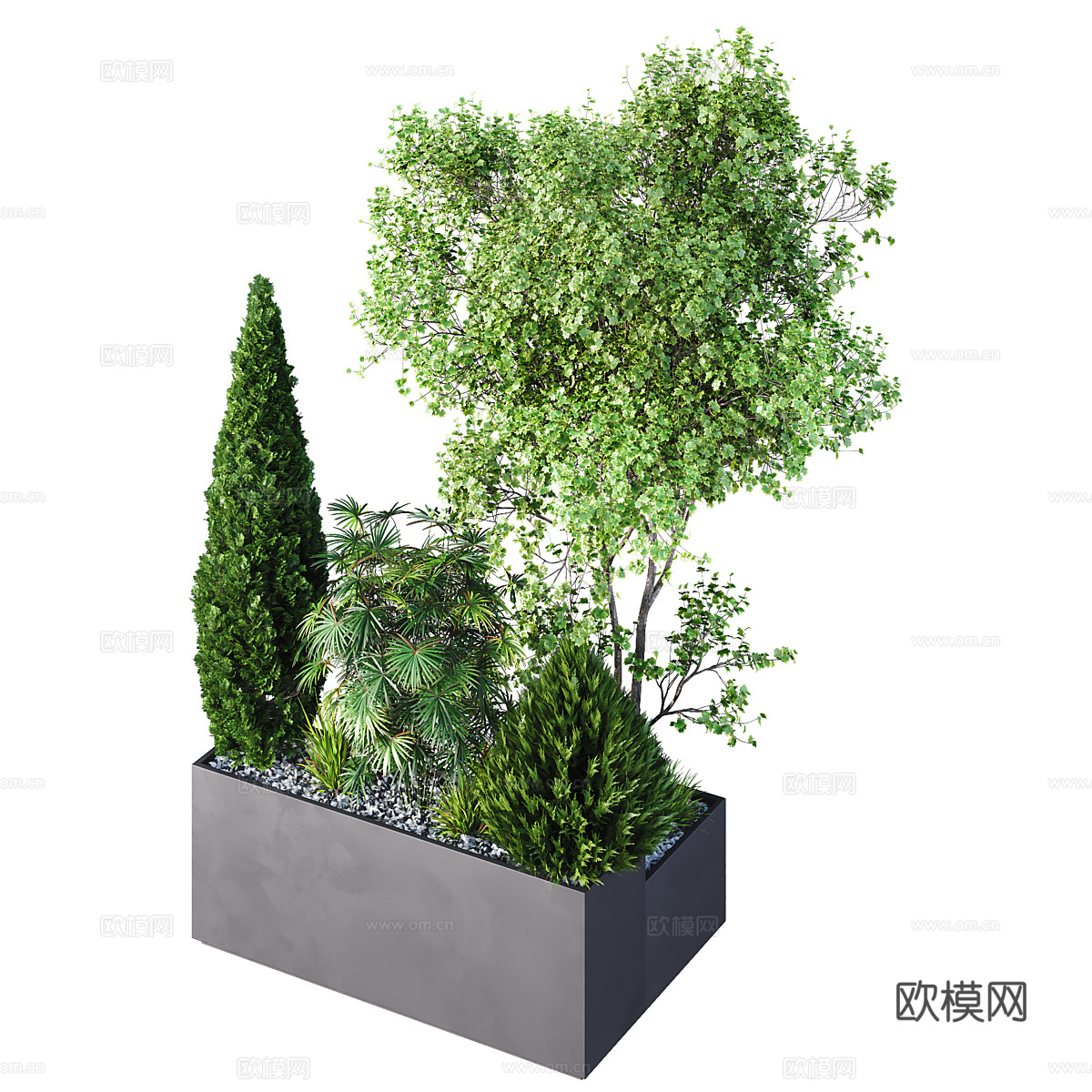 现代庭院绿植 庭院盆栽 灌木花园箱3d模型