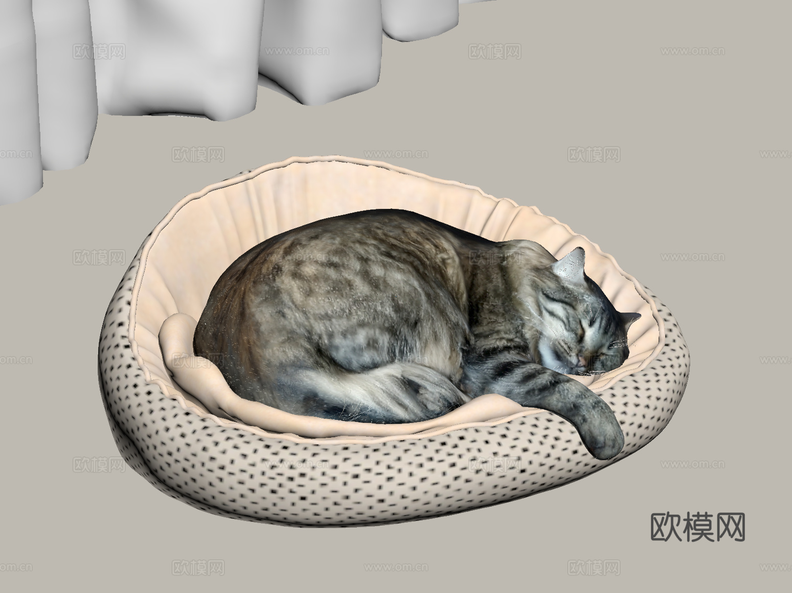 现代宠物猫 动物su模型