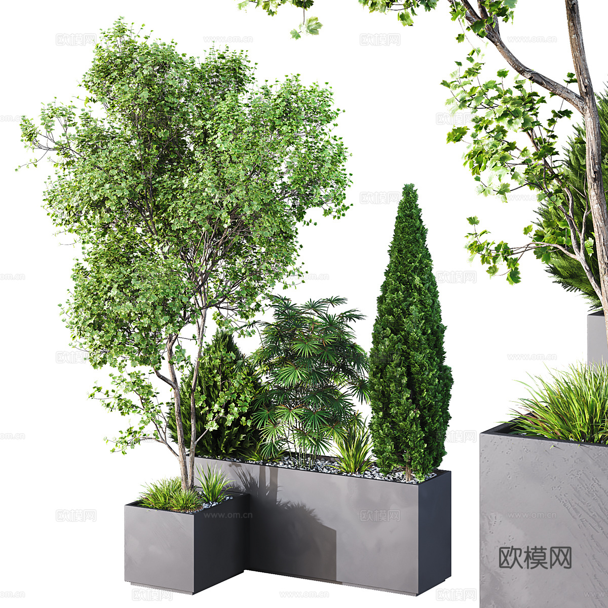 现代庭院绿植 庭院盆栽 灌木花园箱3d模型