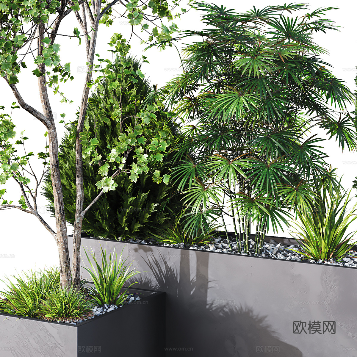 现代庭院绿植 庭院盆栽 灌木花园箱3d模型