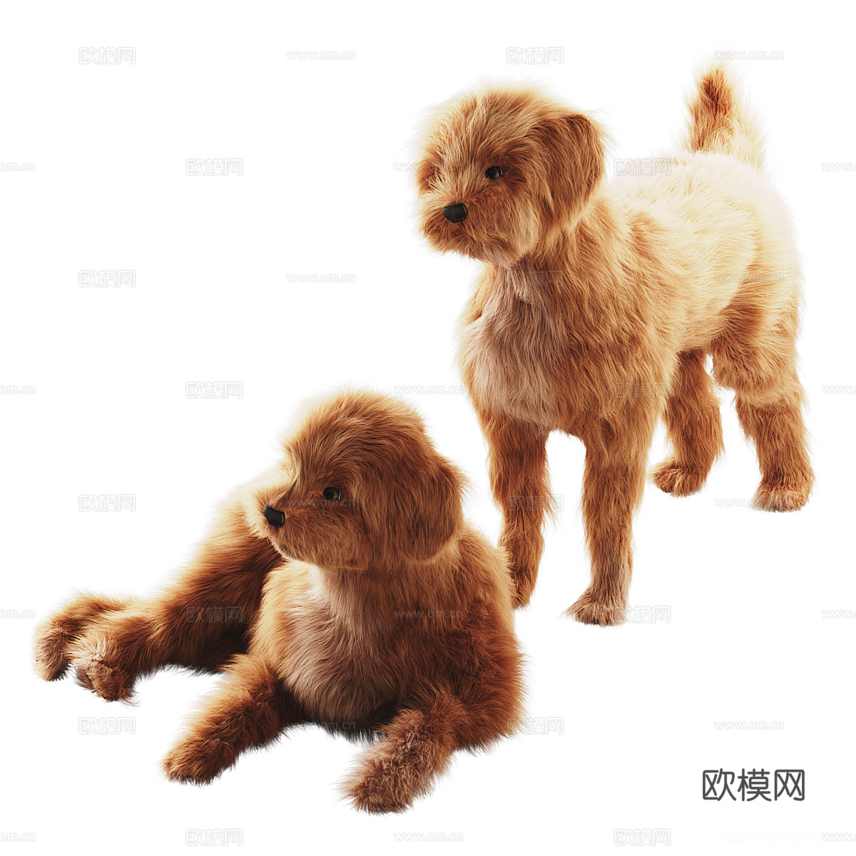 宠物狗 小型家犬3d模型