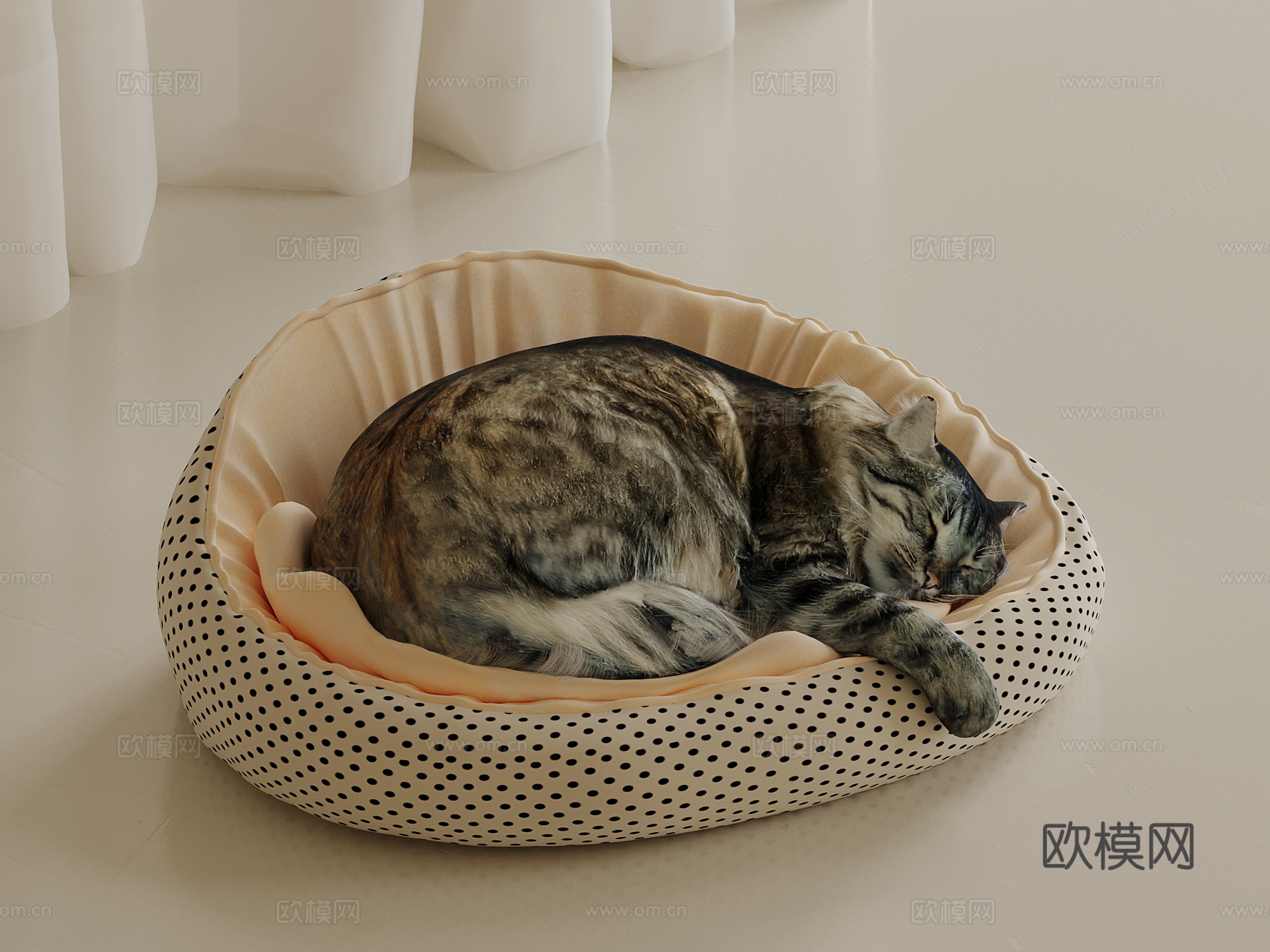 现代宠物猫 动物3d模型