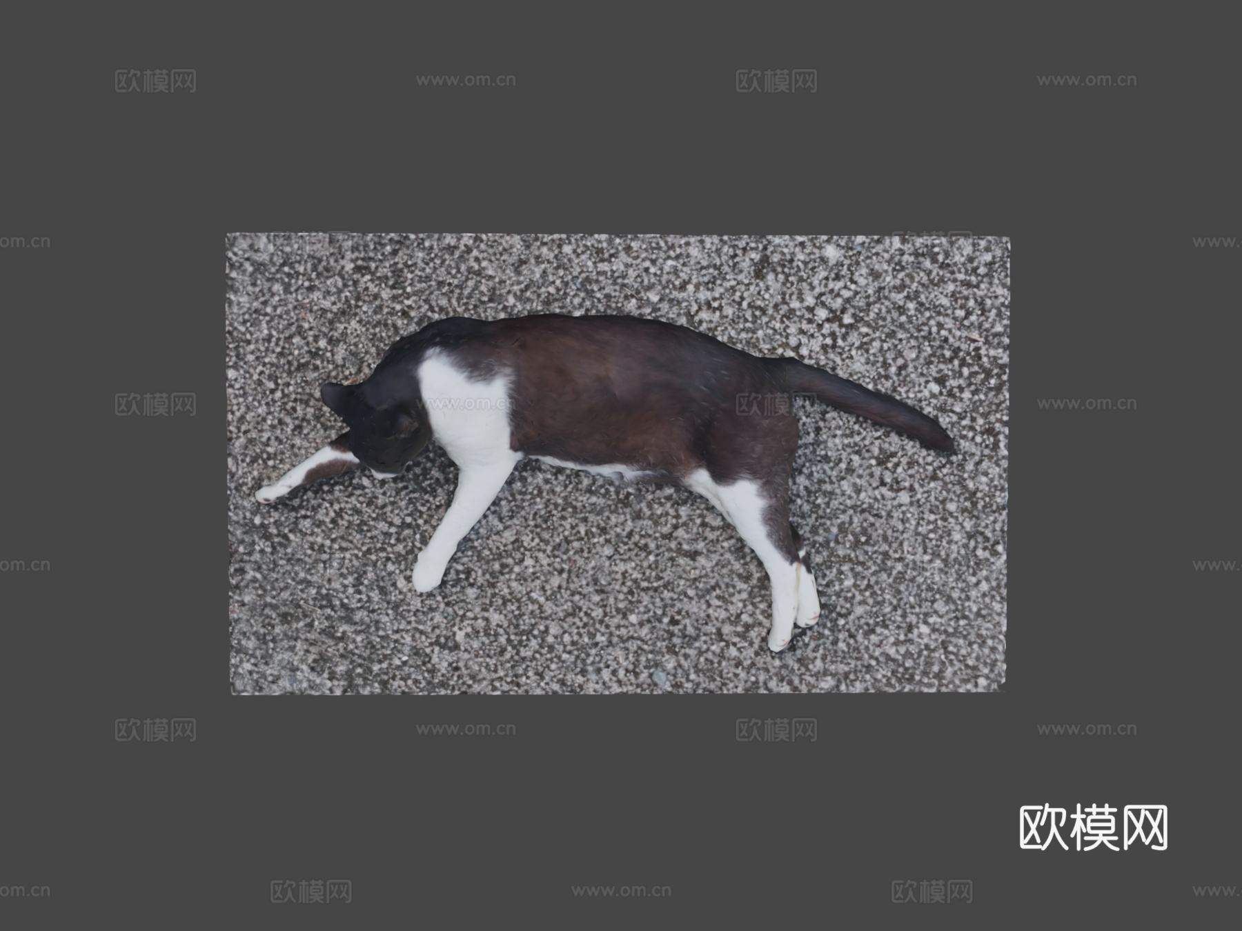 猫（娜娜）3d模型
