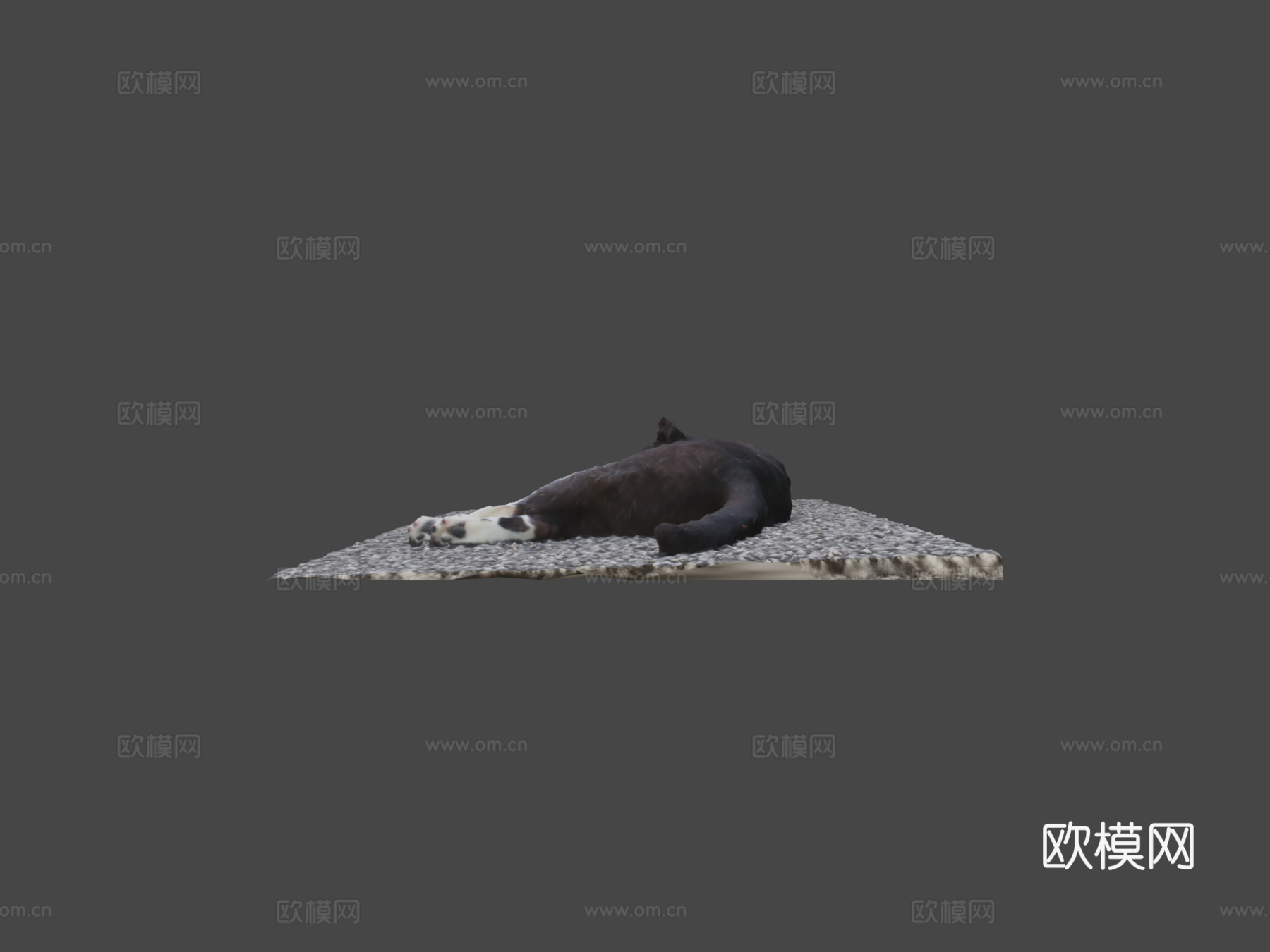 猫（娜娜）3d模型