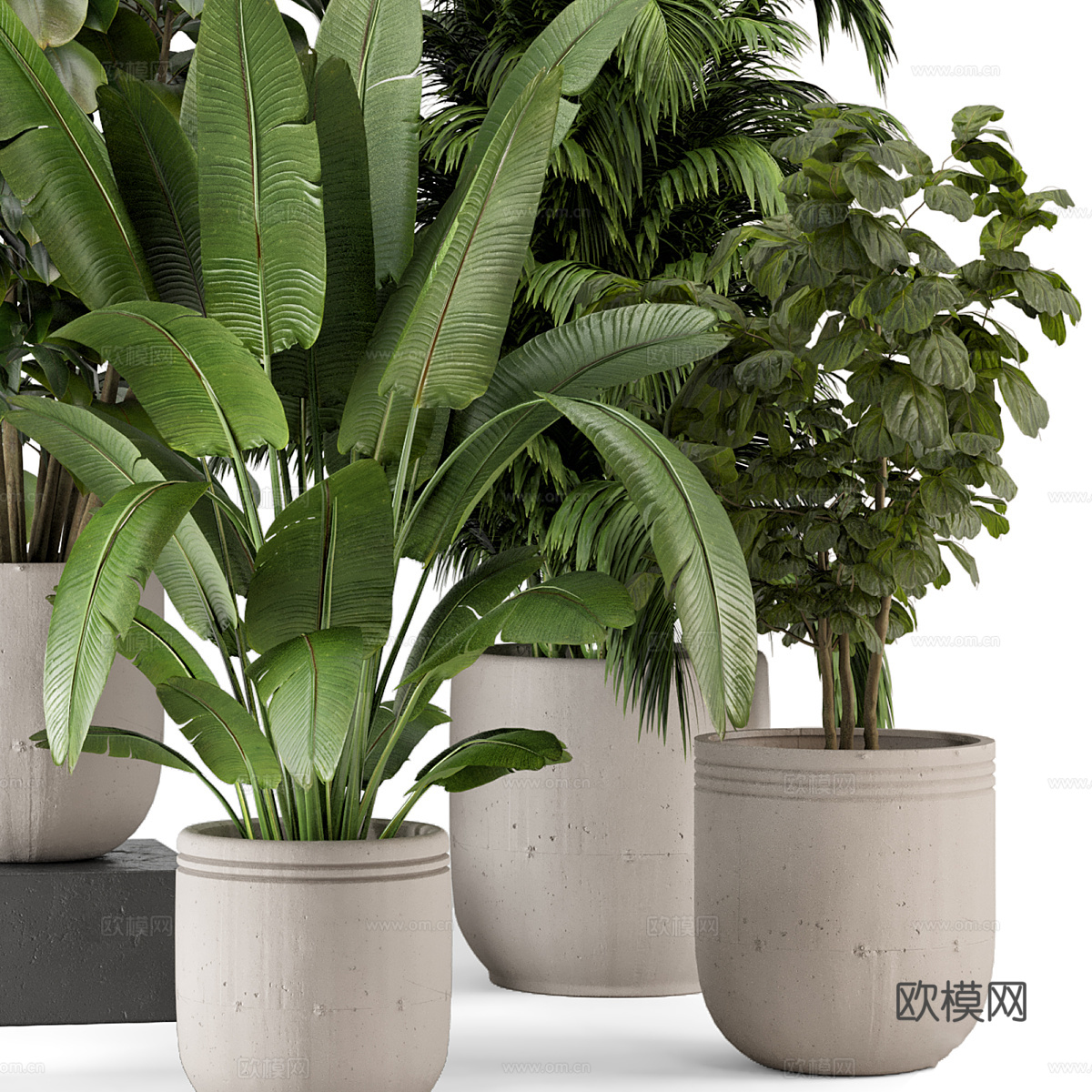 现代侘寂绿植盆栽3d模型