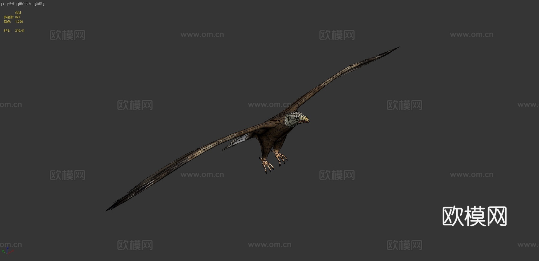 DRT-鸟类与小动物-鹰3d模型