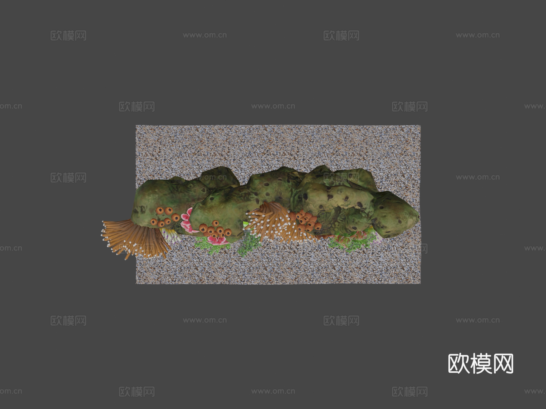 珊瑚礁3d模型
