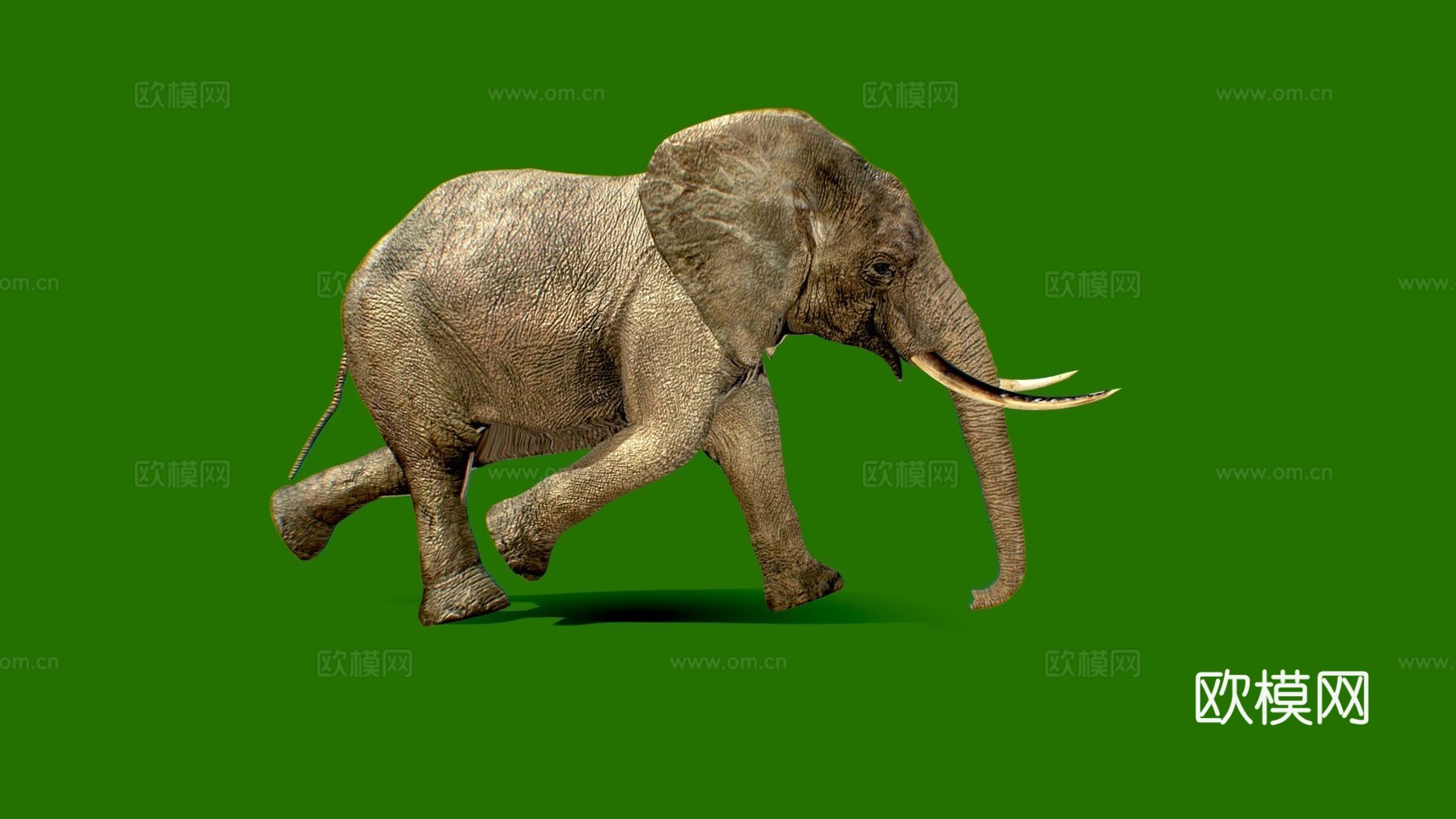 行走的大象3d模型