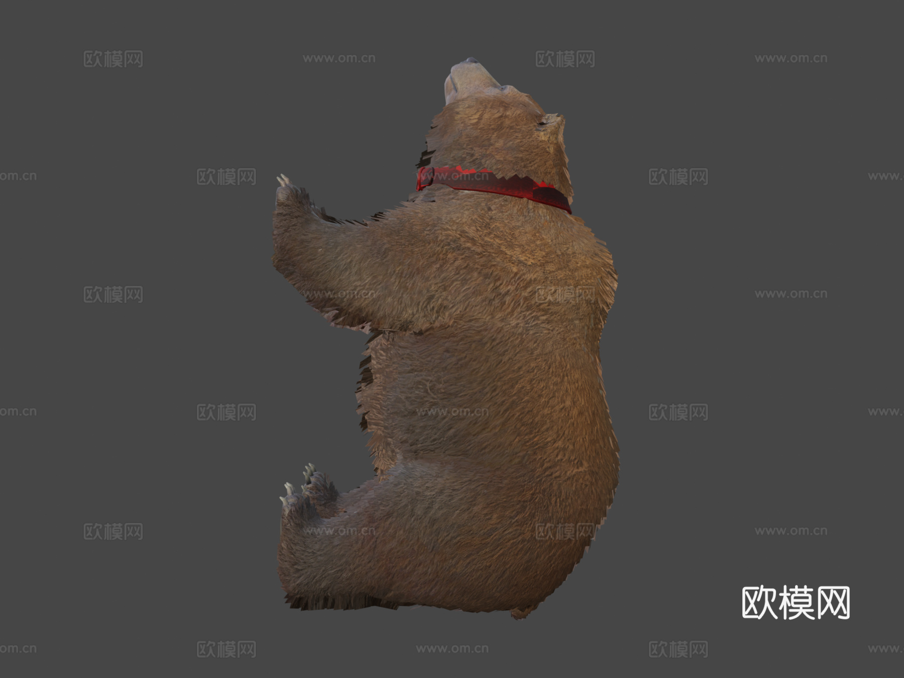 灰熊3d模型