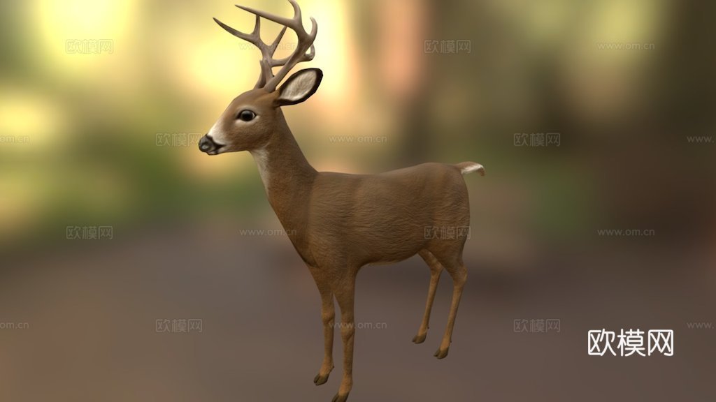 小鹿2.03d模型