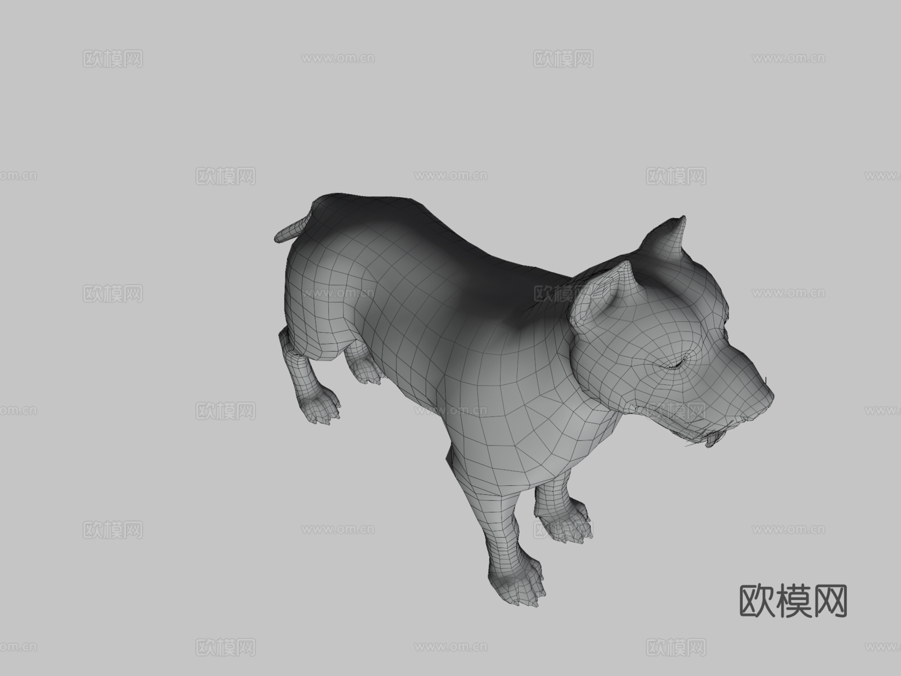 狗-比特犬3d模型