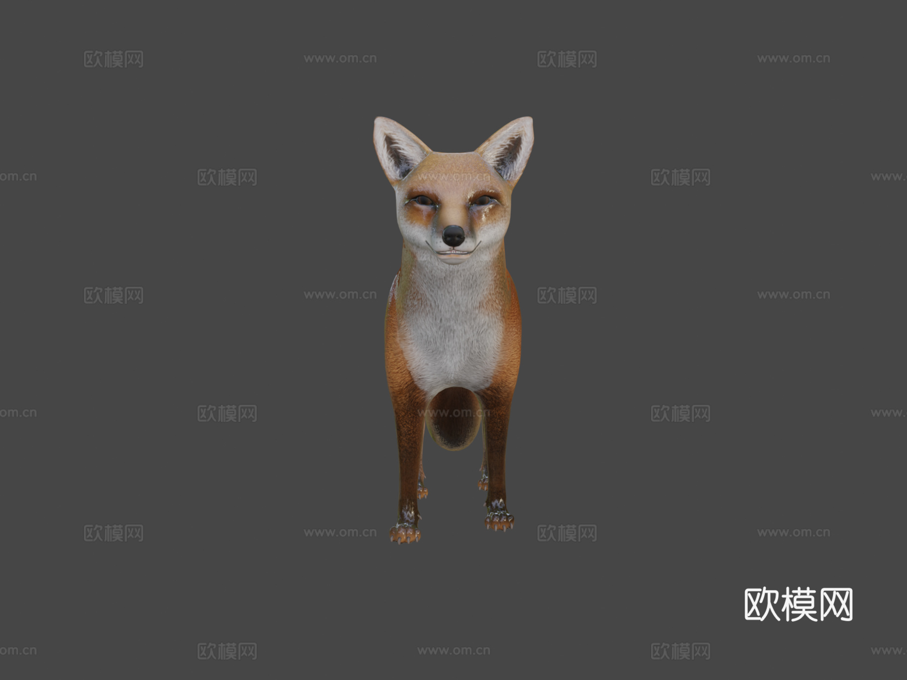 狐狸3d模型