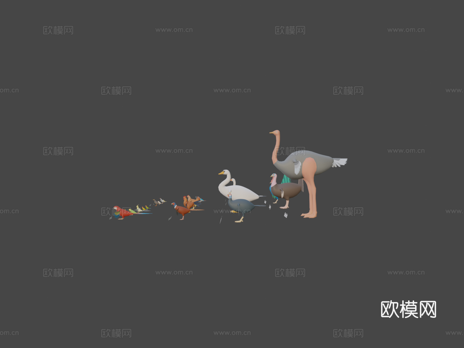 动物包-鸟3d模型