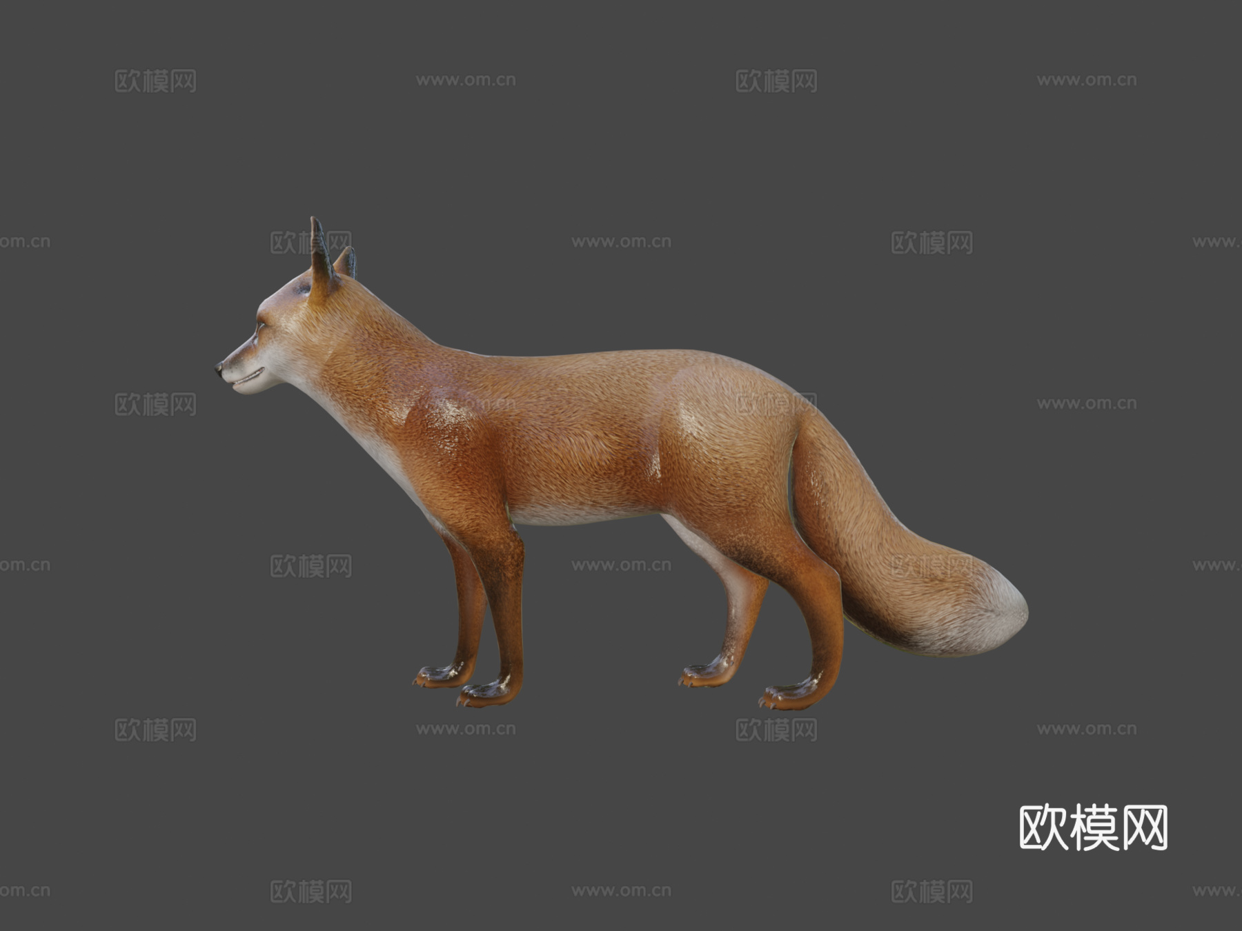 狐狸3d模型
