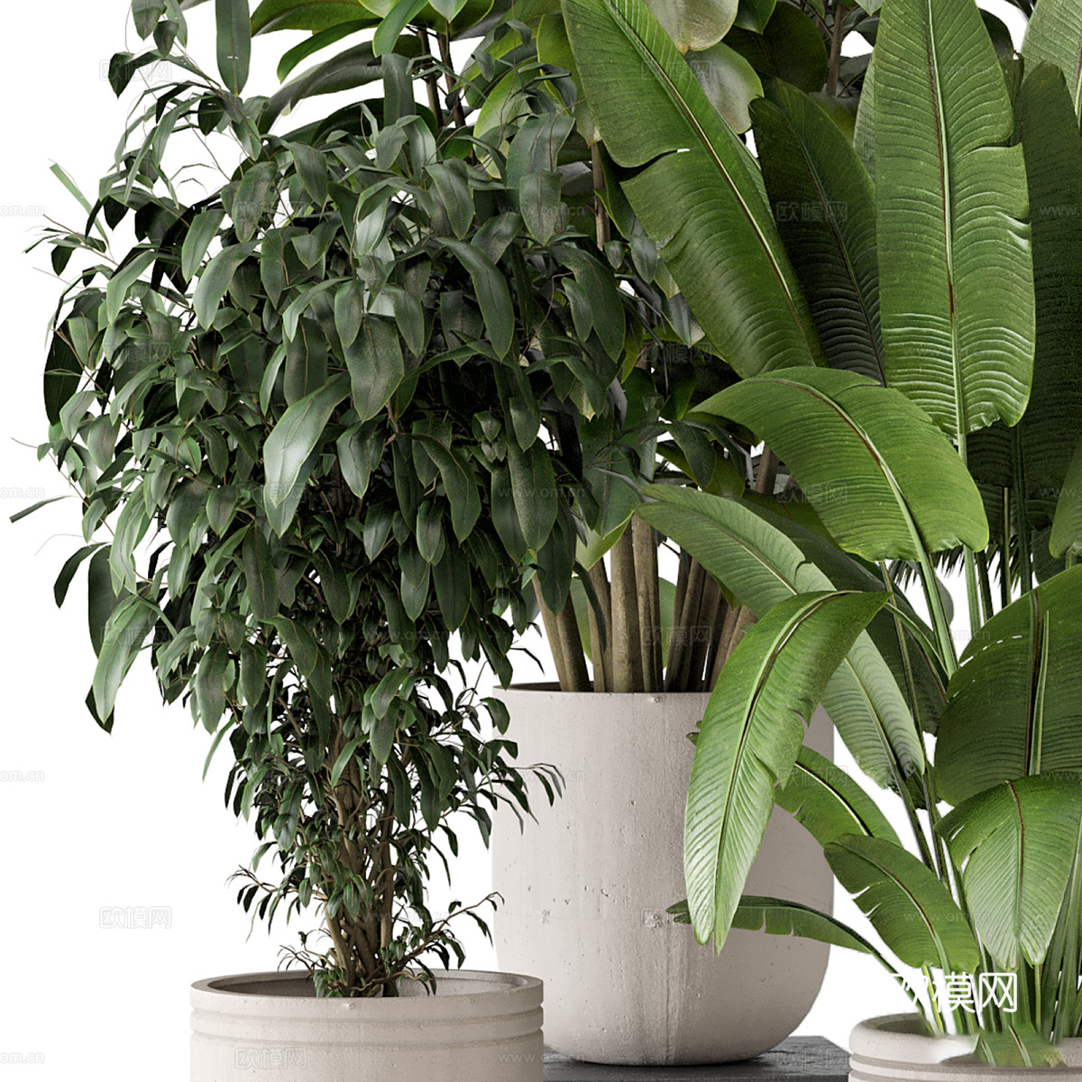 现代侘寂绿植盆栽3d模型