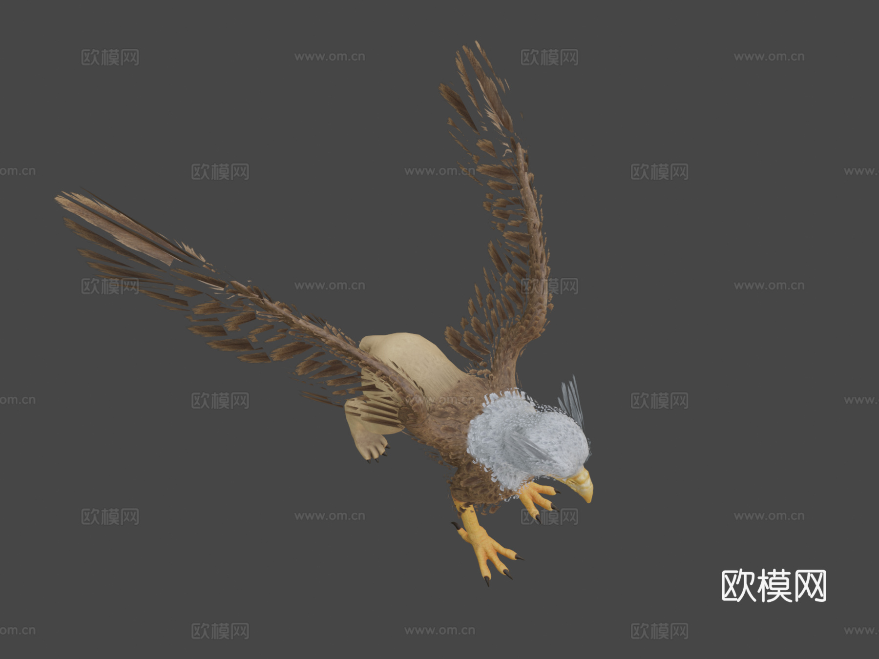 狮鹫装备3d模型
