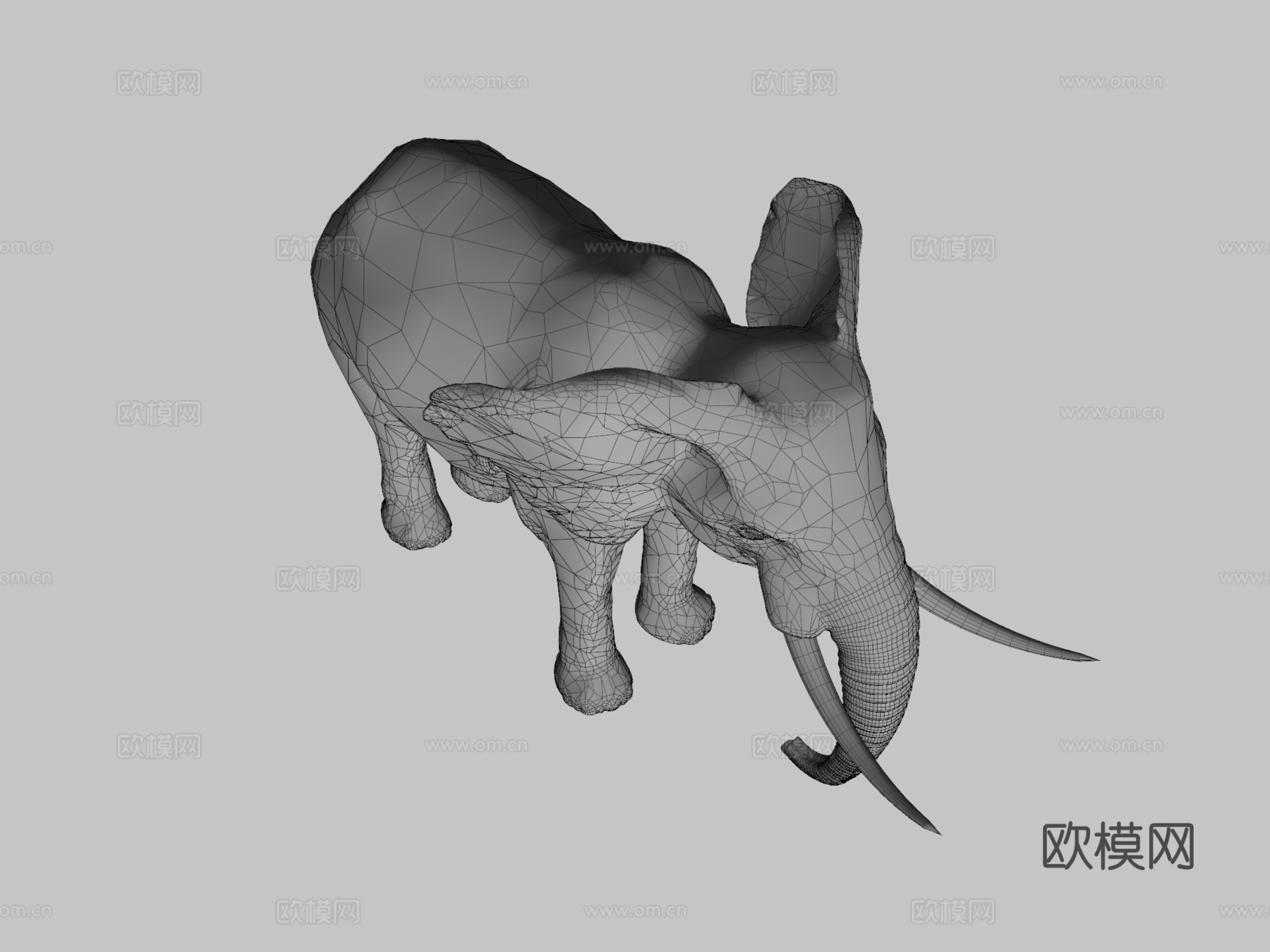行走的大象3d模型