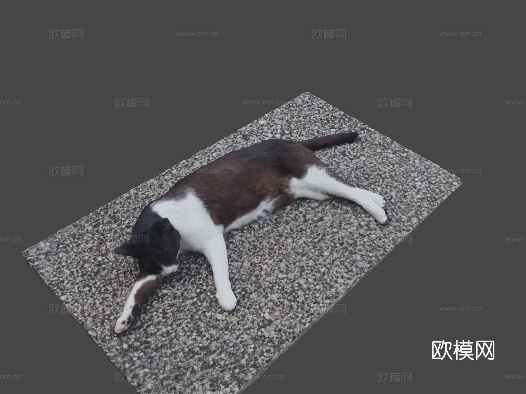 猫（娜娜）3d模型