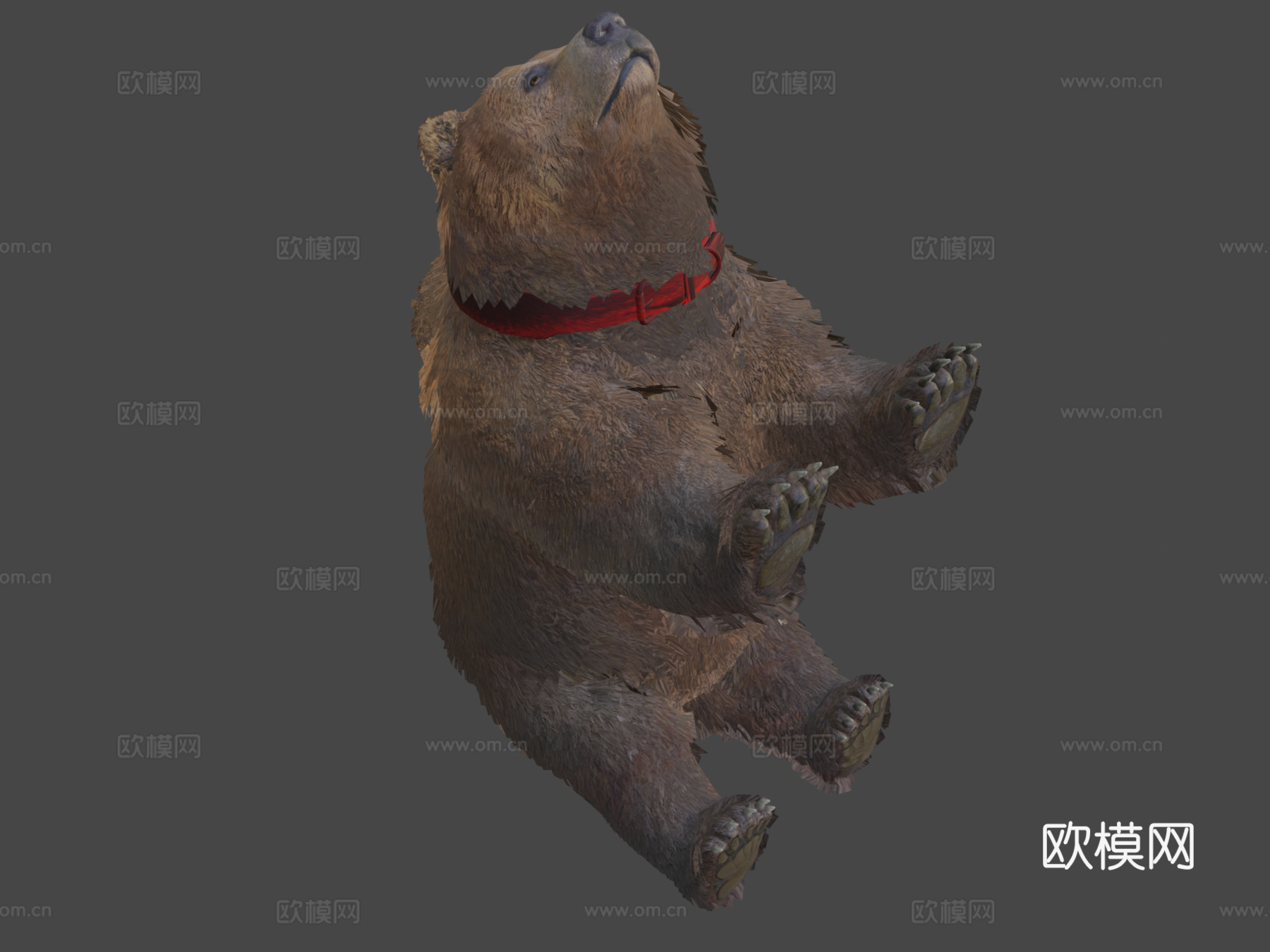 灰熊3d模型