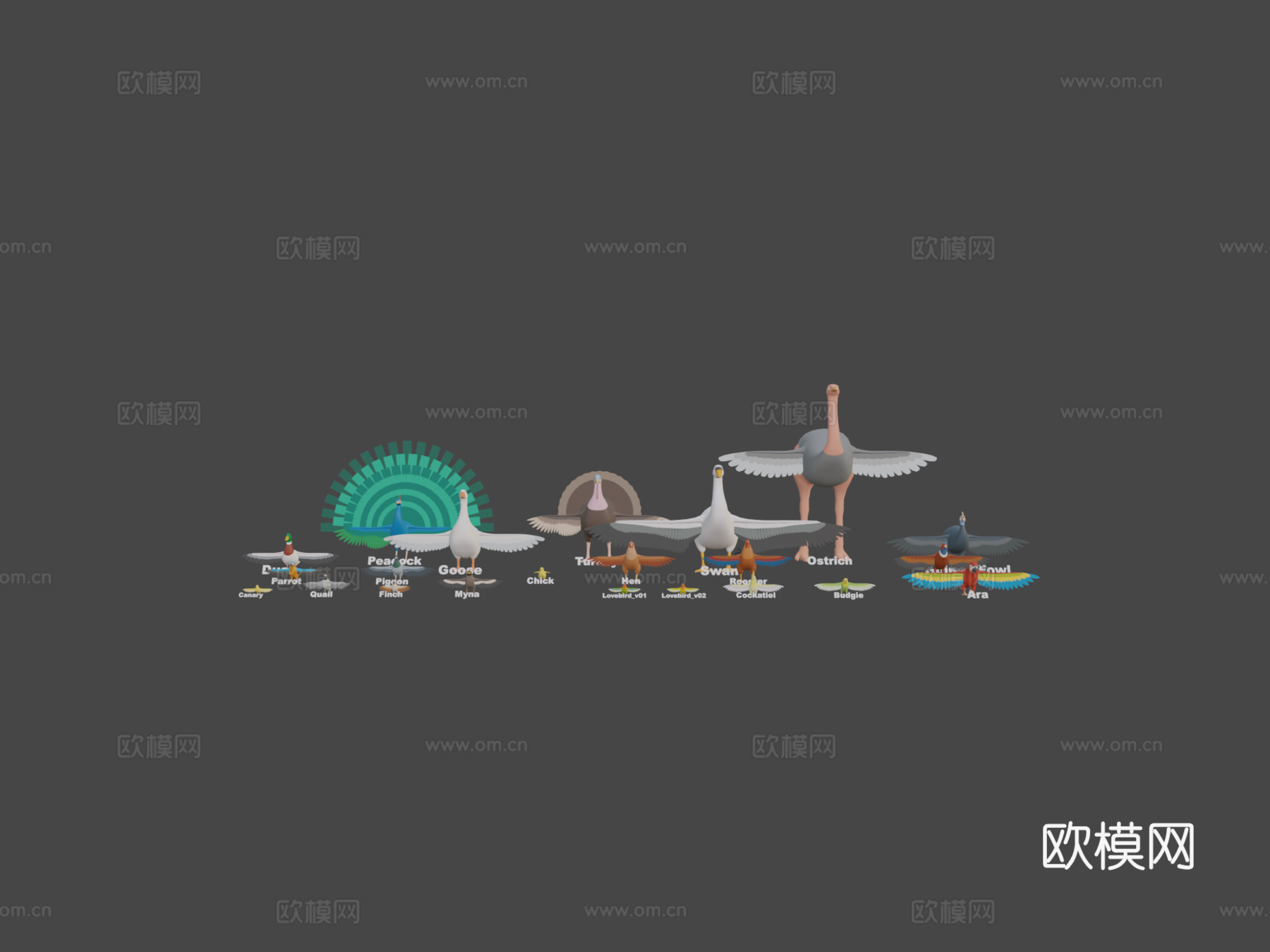动物包-鸟3d模型
