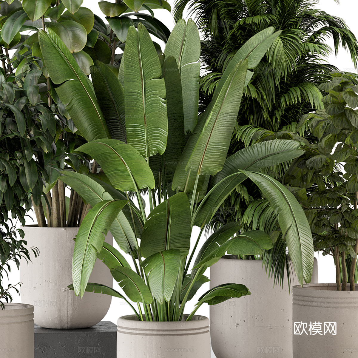 现代侘寂绿植盆栽3d模型