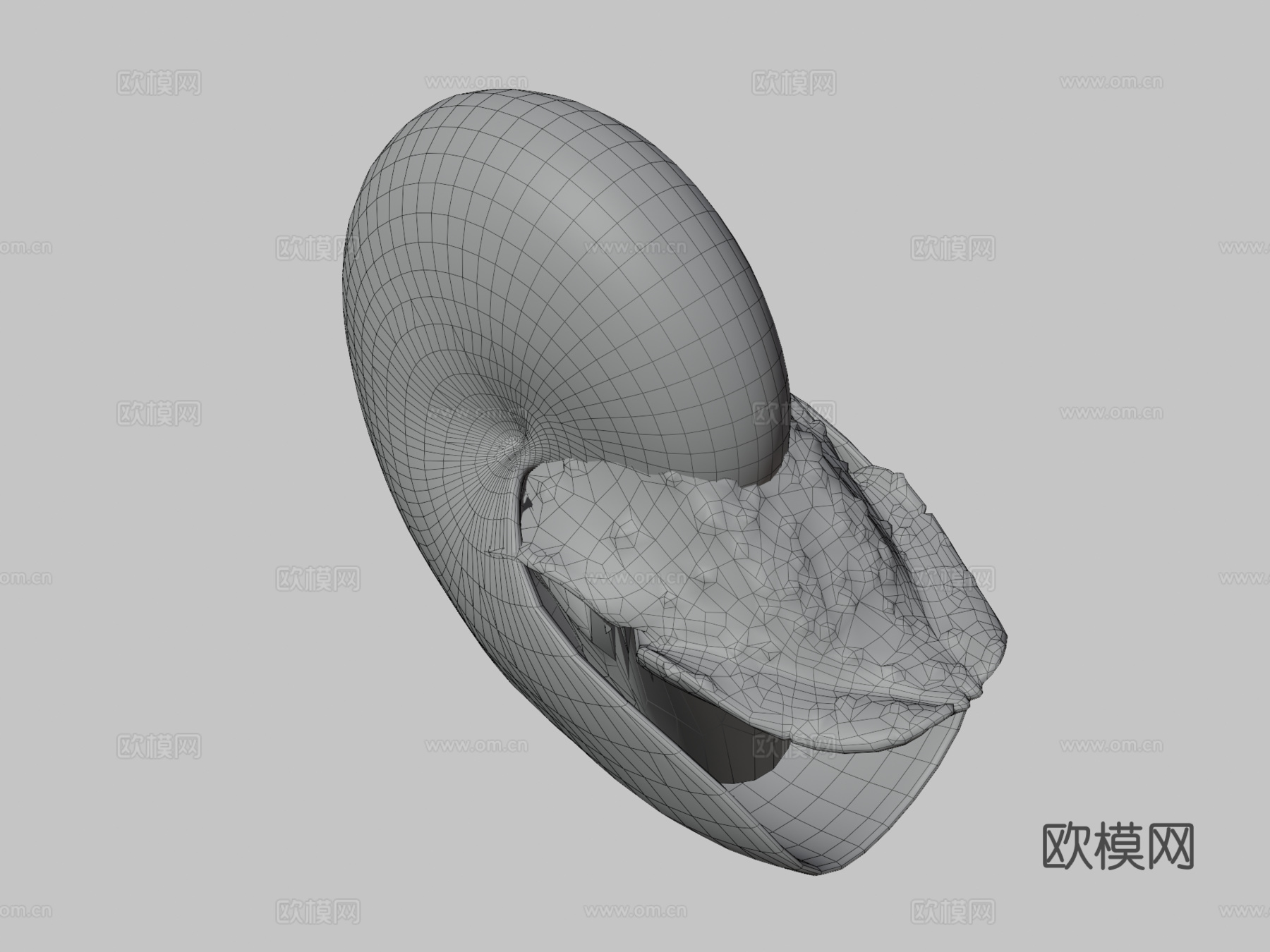 鹦鹉螺3d模型