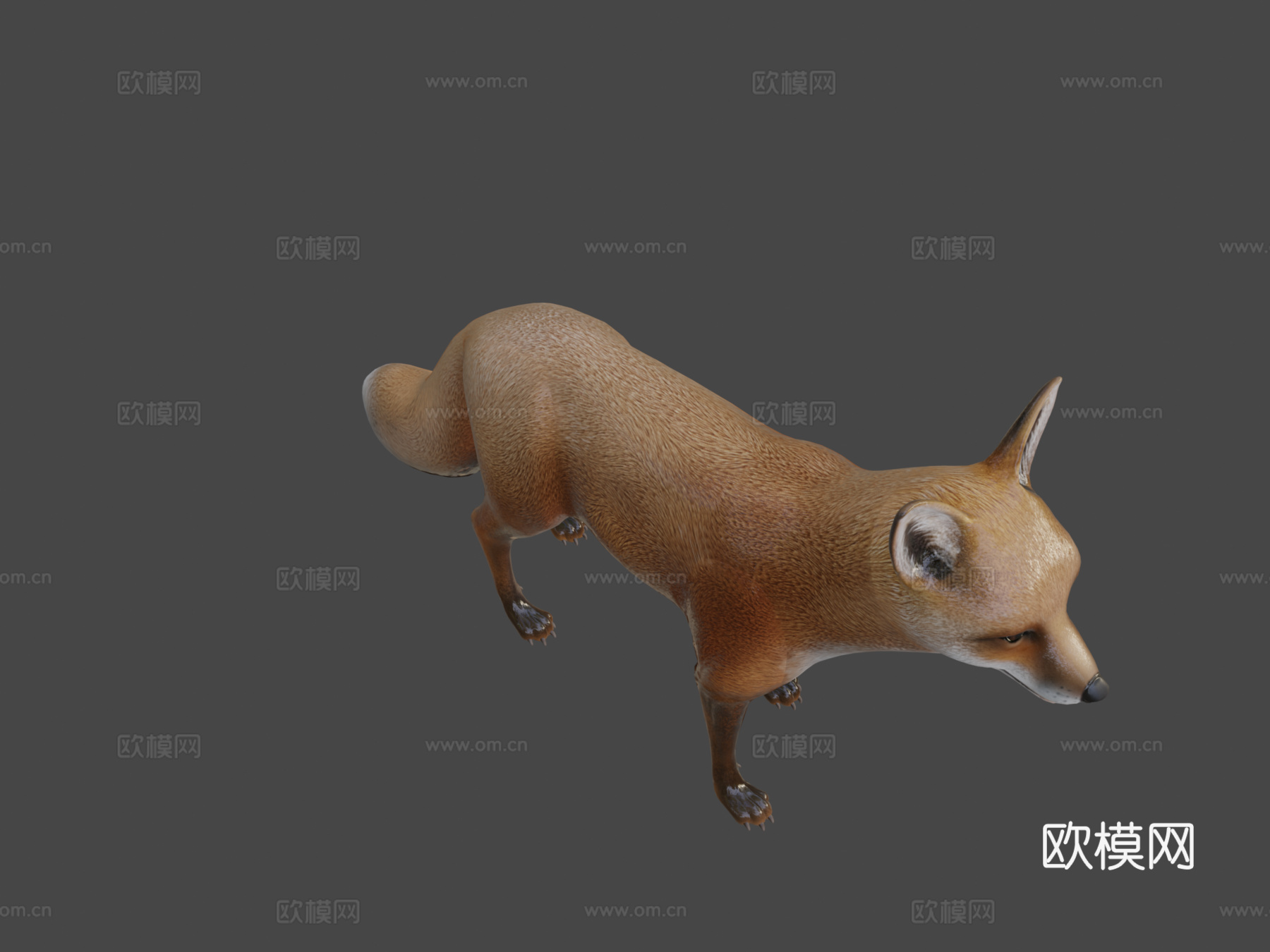 狐狸3d模型