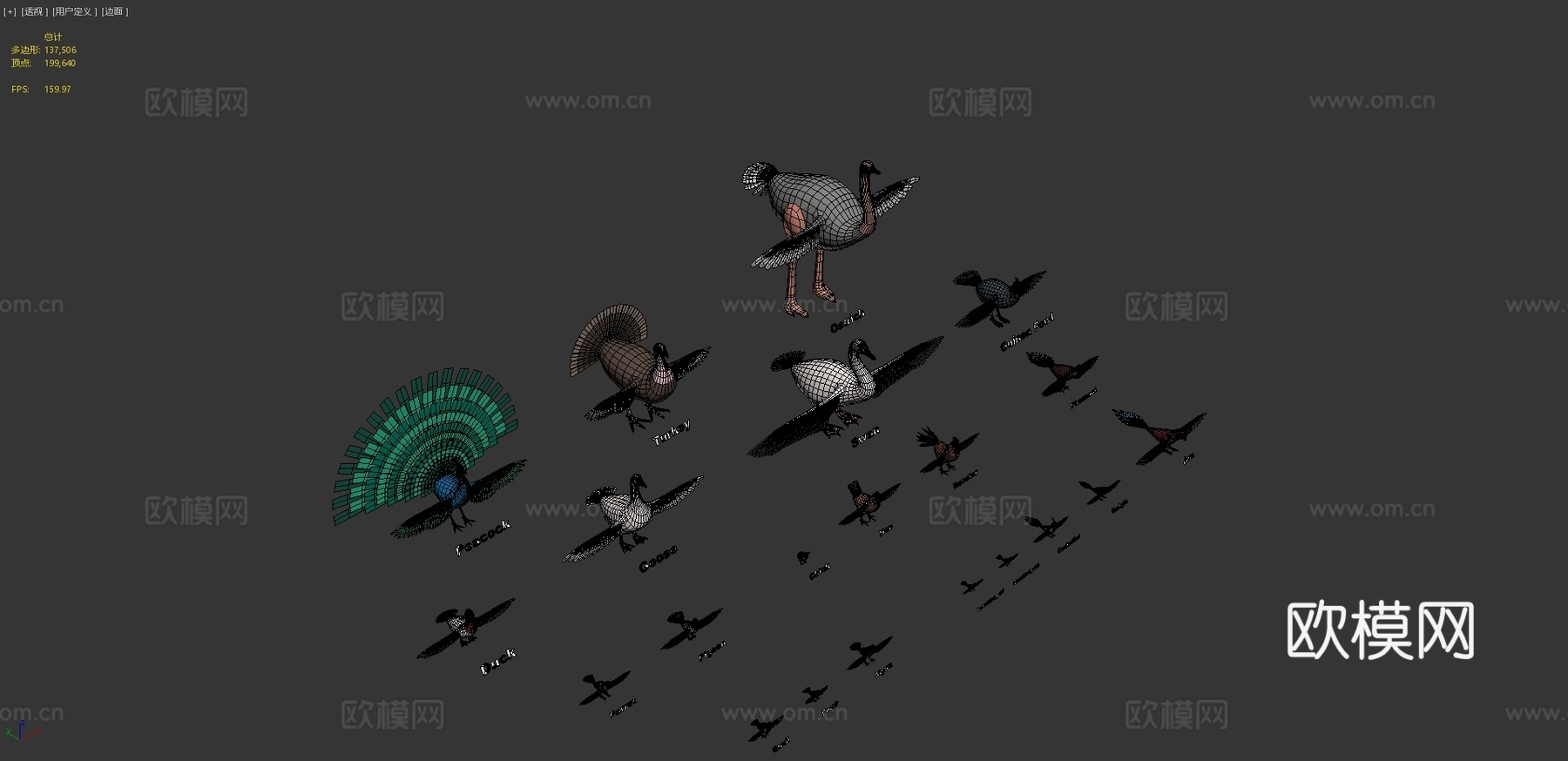 动物包-鸟3d模型