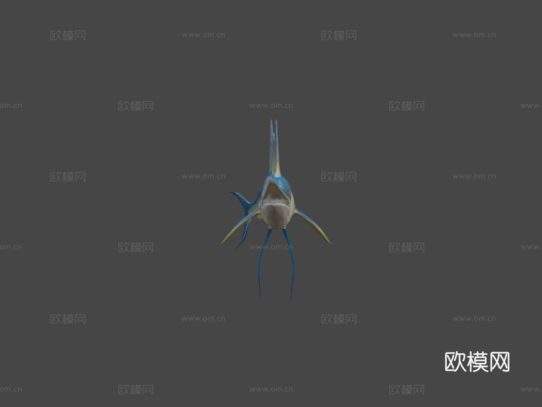 旗鱼3d模型