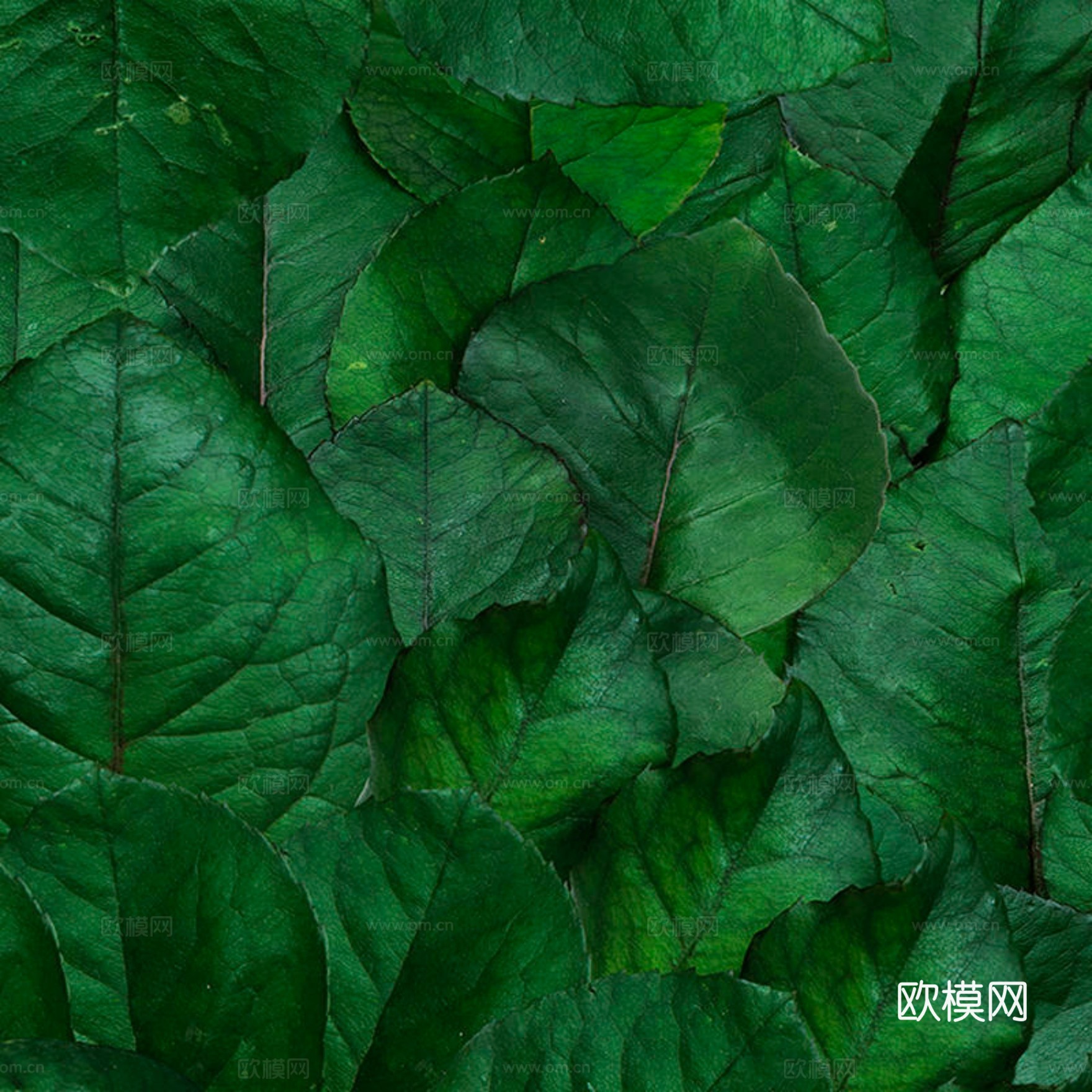 现代壁画 装饰画下载