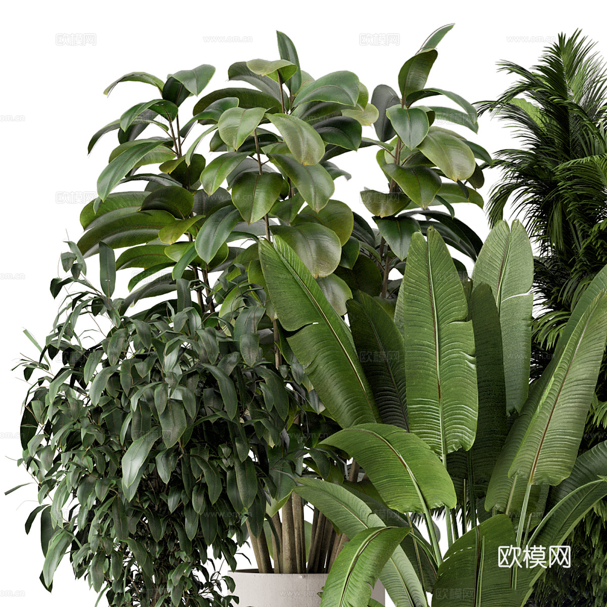 现代侘寂绿植盆栽3d模型