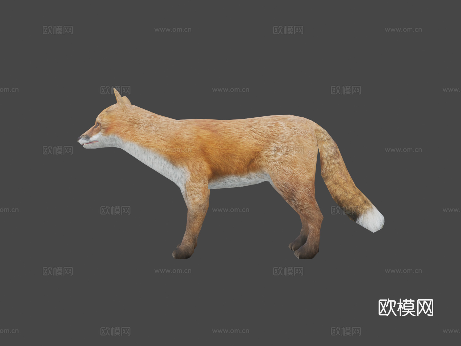 DRT-野生动物-狐狸3d模型