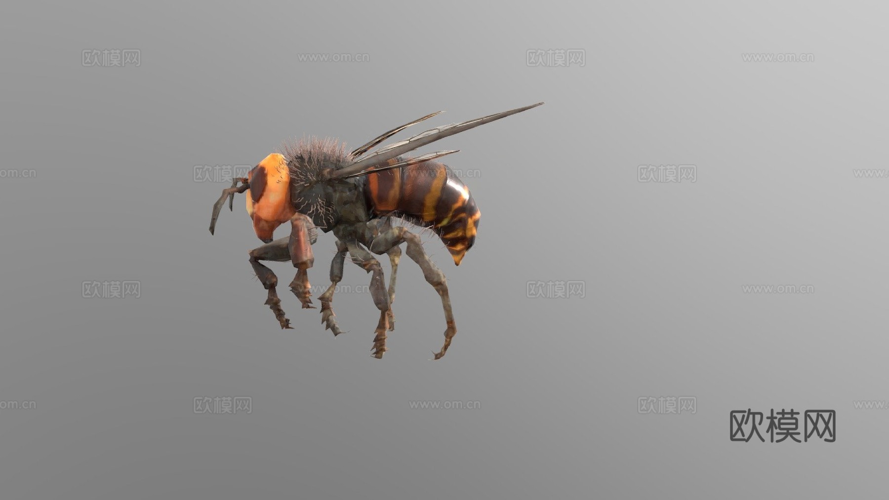 蜜蜂3d模型