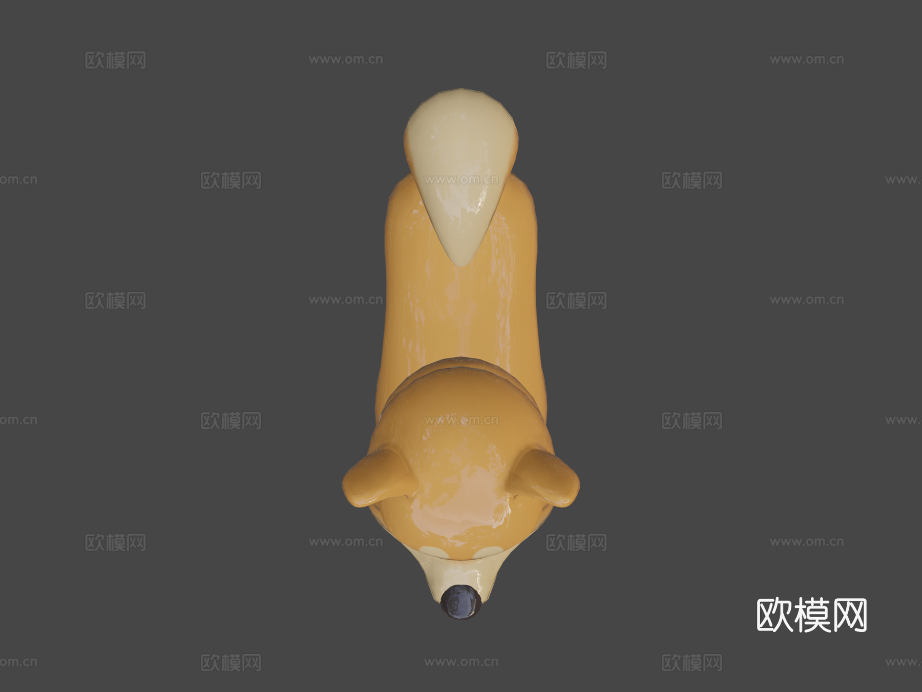 柴犬3d模型