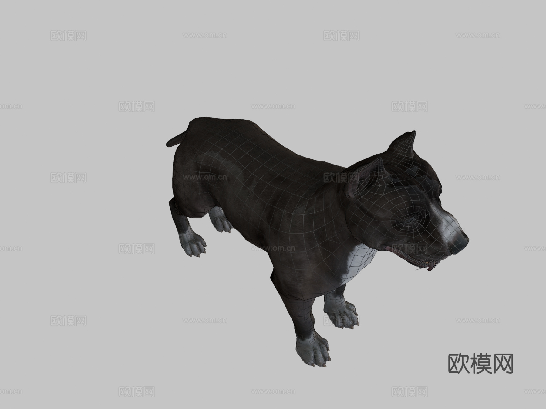 狗-比特犬3d模型