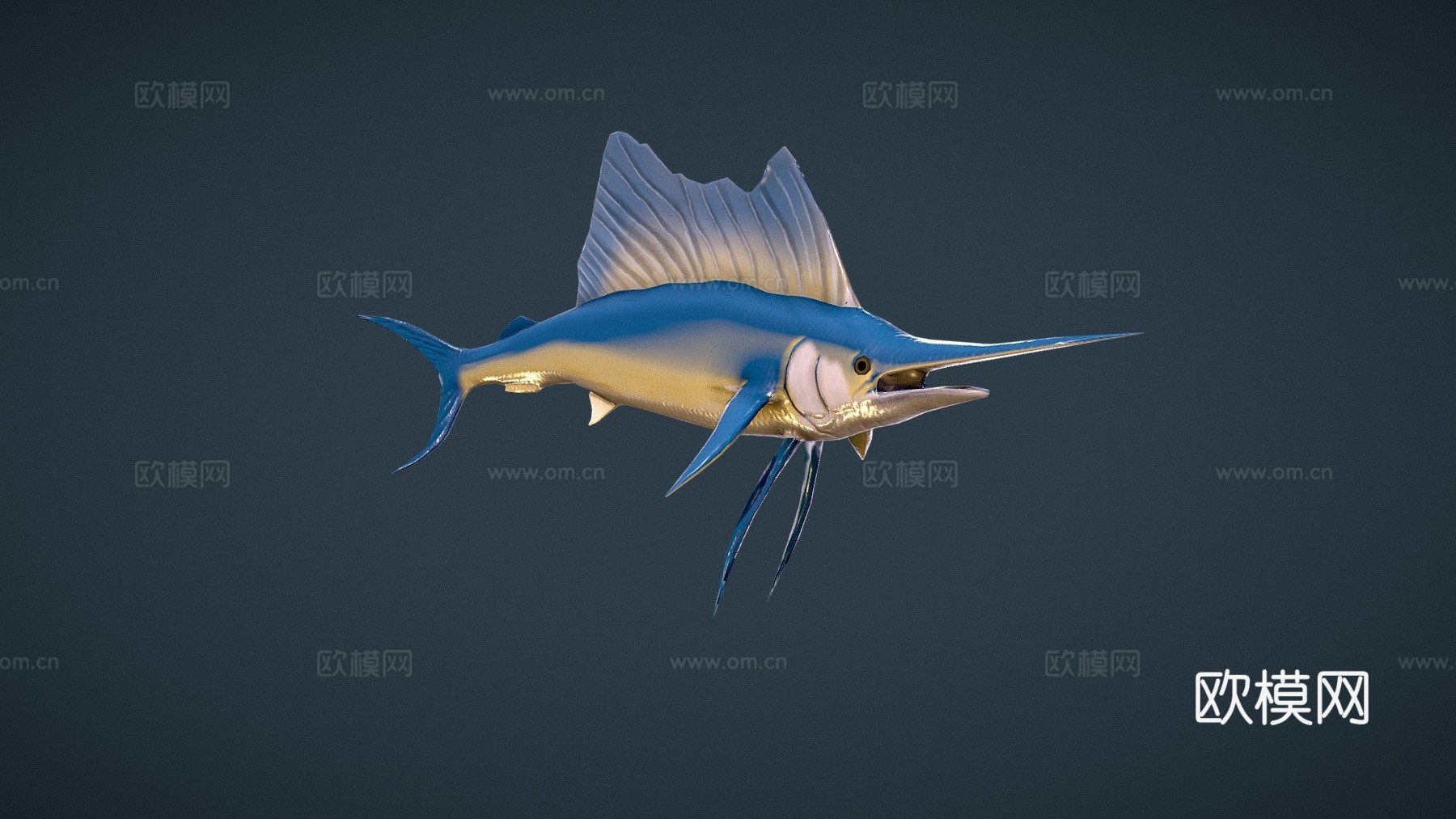 旗鱼3d模型