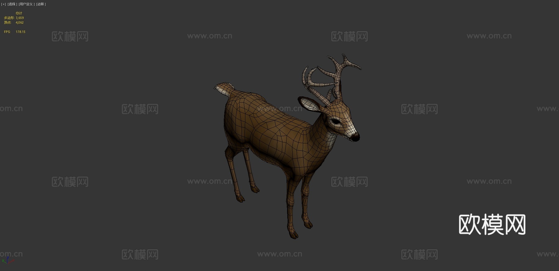 小鹿2.03d模型