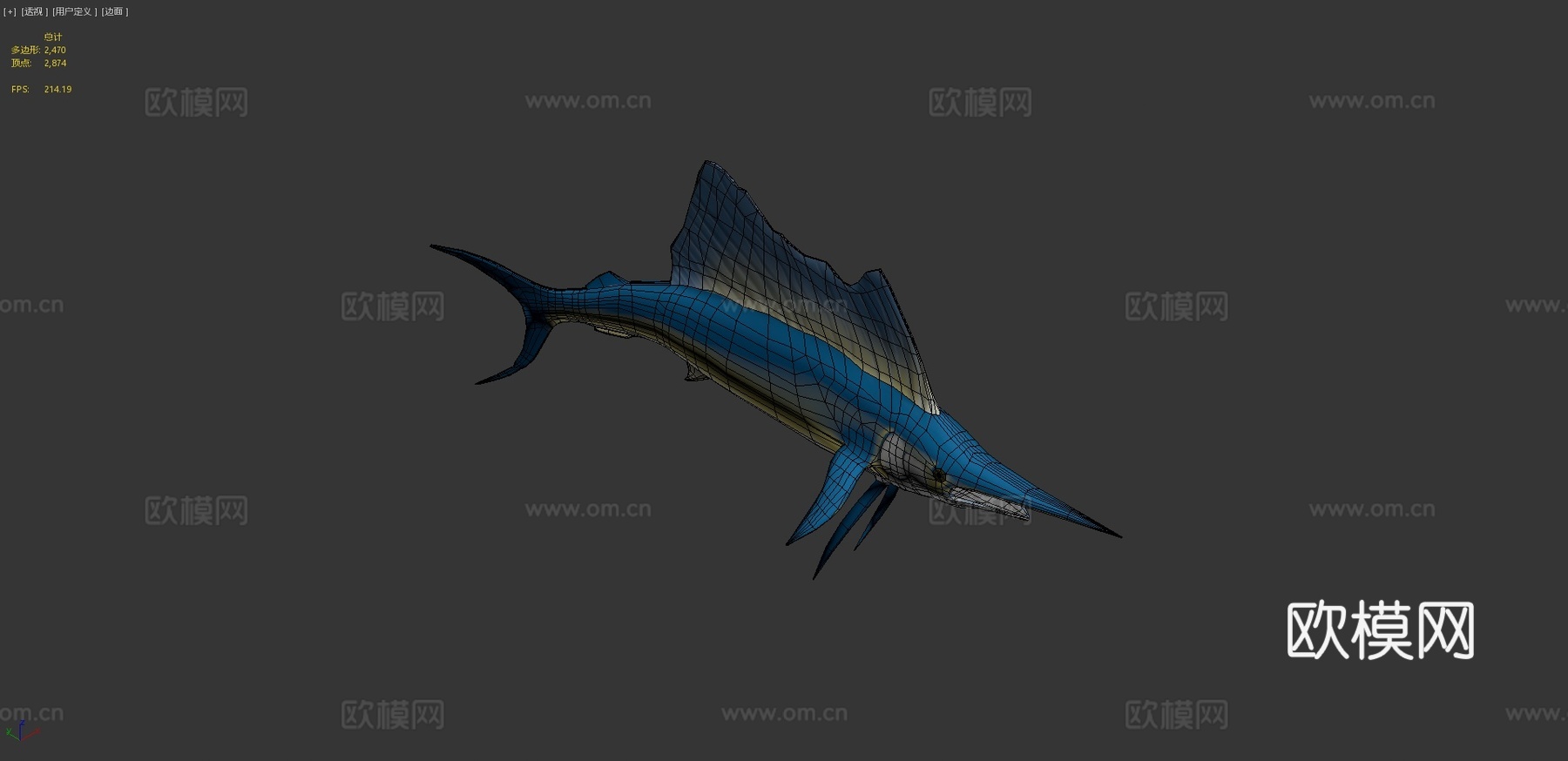 旗鱼3d模型