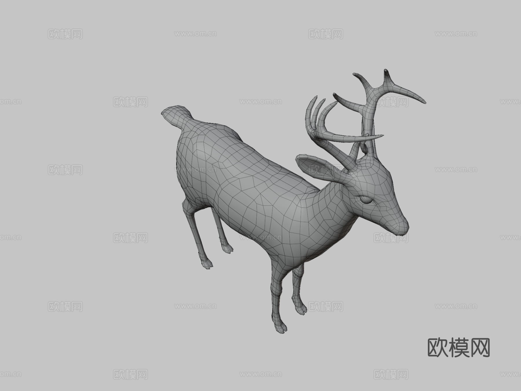 小鹿2.03d模型
