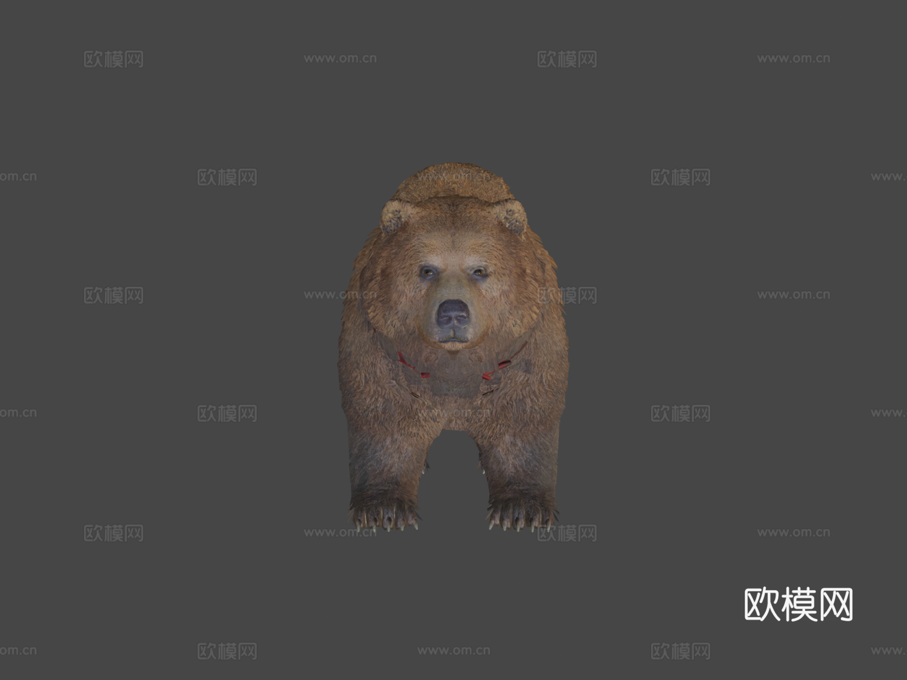 灰熊3d模型