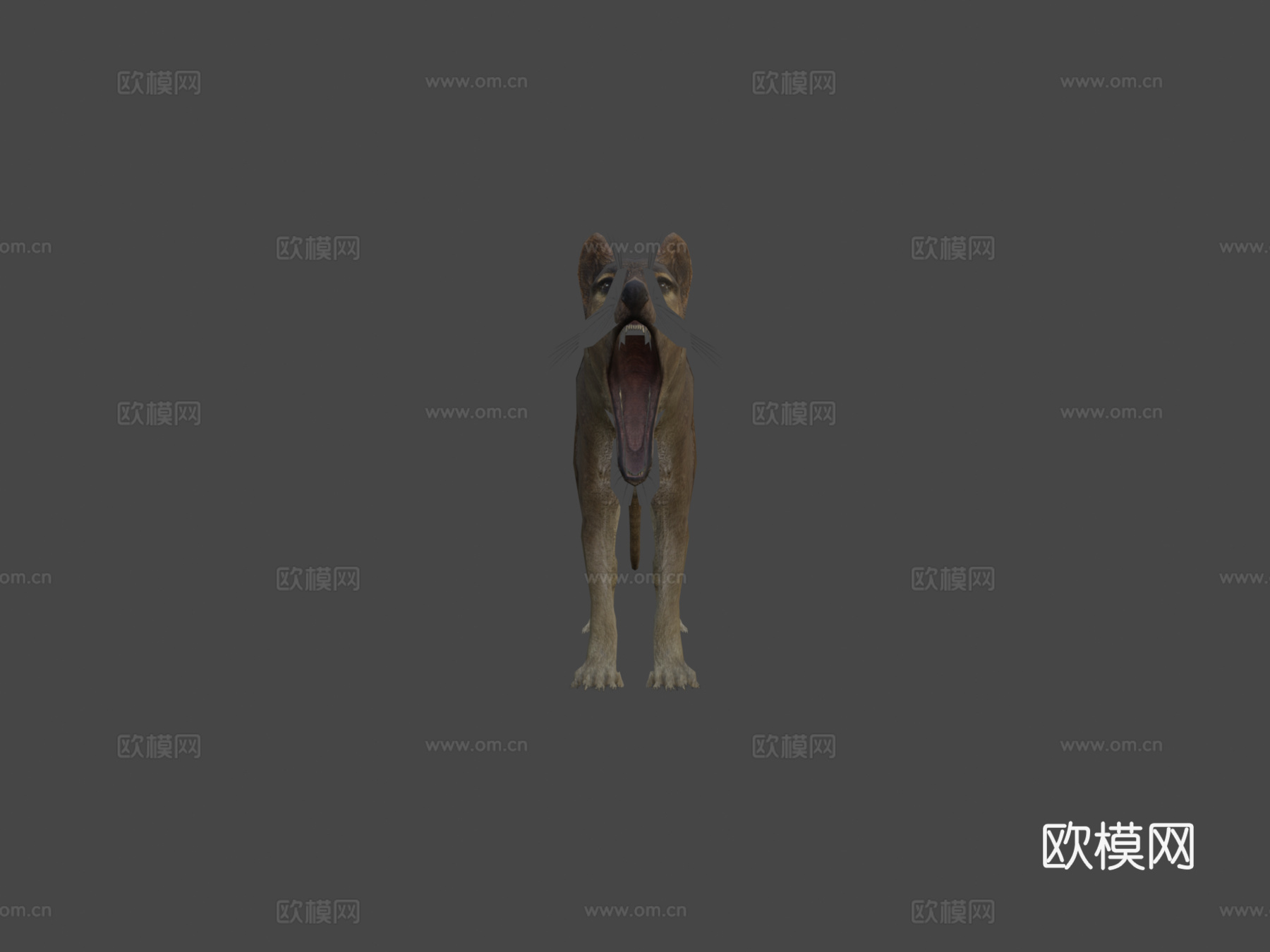 袋狼预览3d模型