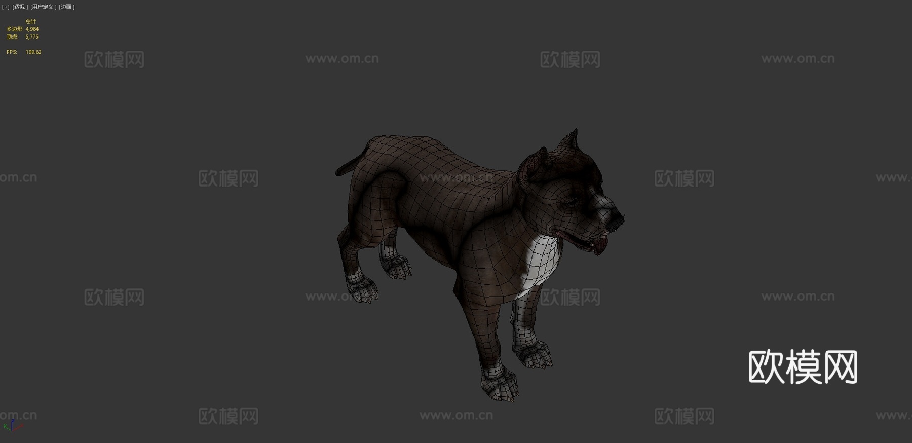 狗-比特犬3d模型