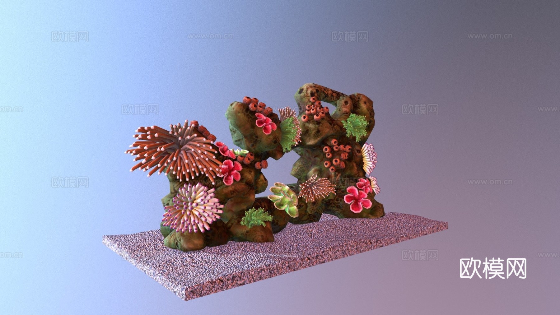 珊瑚礁3d模型