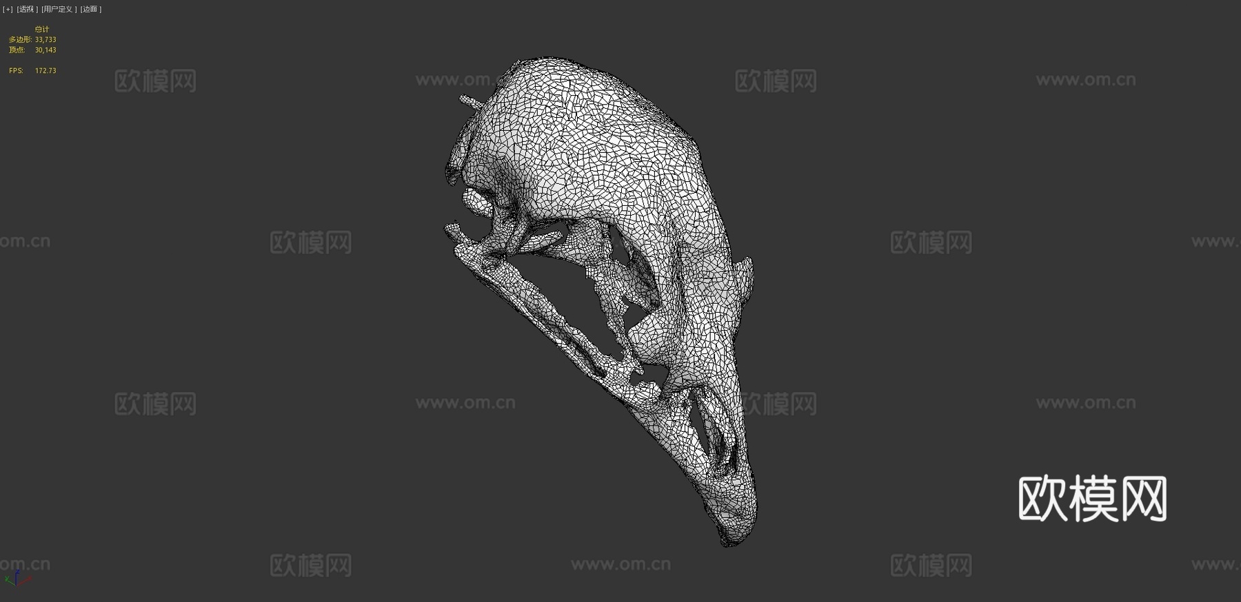 鸡头骨3d模型