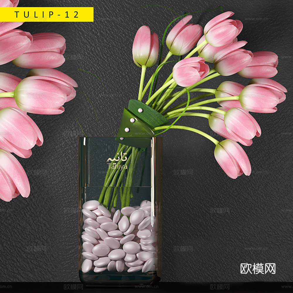 花卉 植物 花朵  插画 花瓶3d模型
