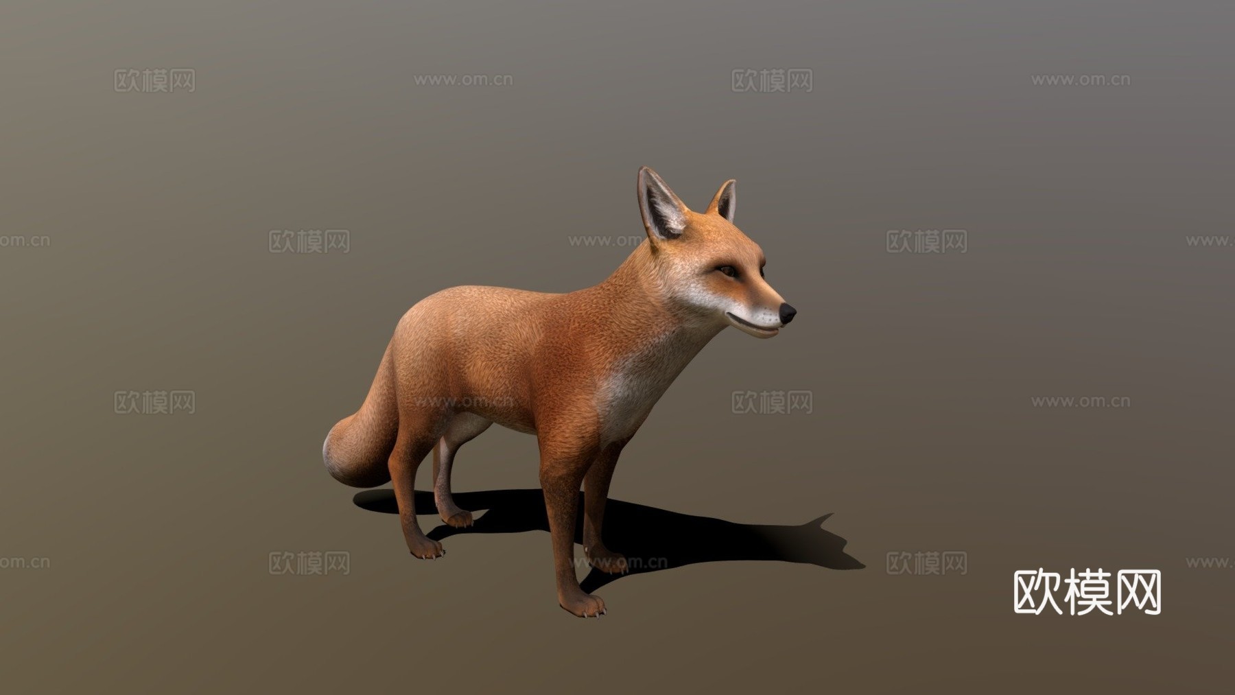 狐狸3d模型