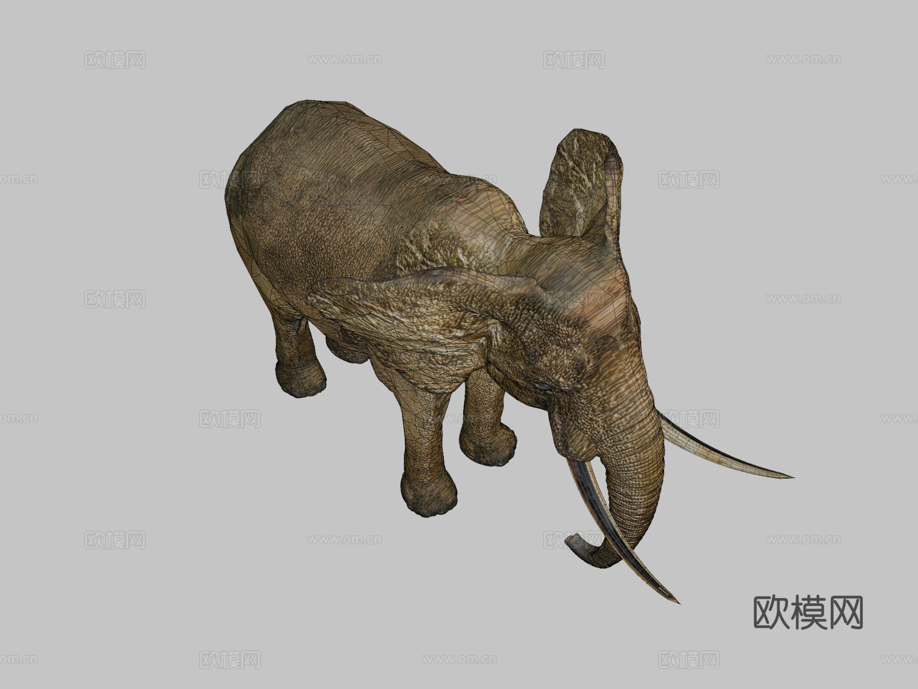 行走的大象3d模型