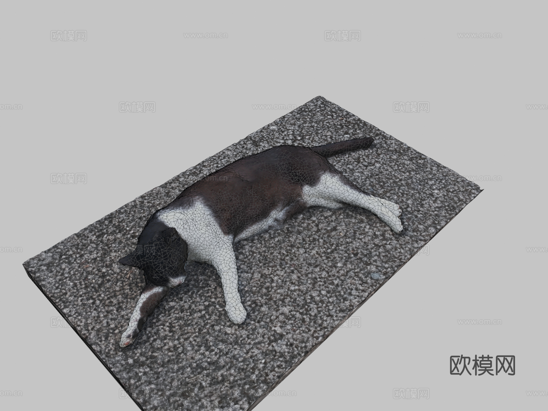 猫（娜娜）3d模型