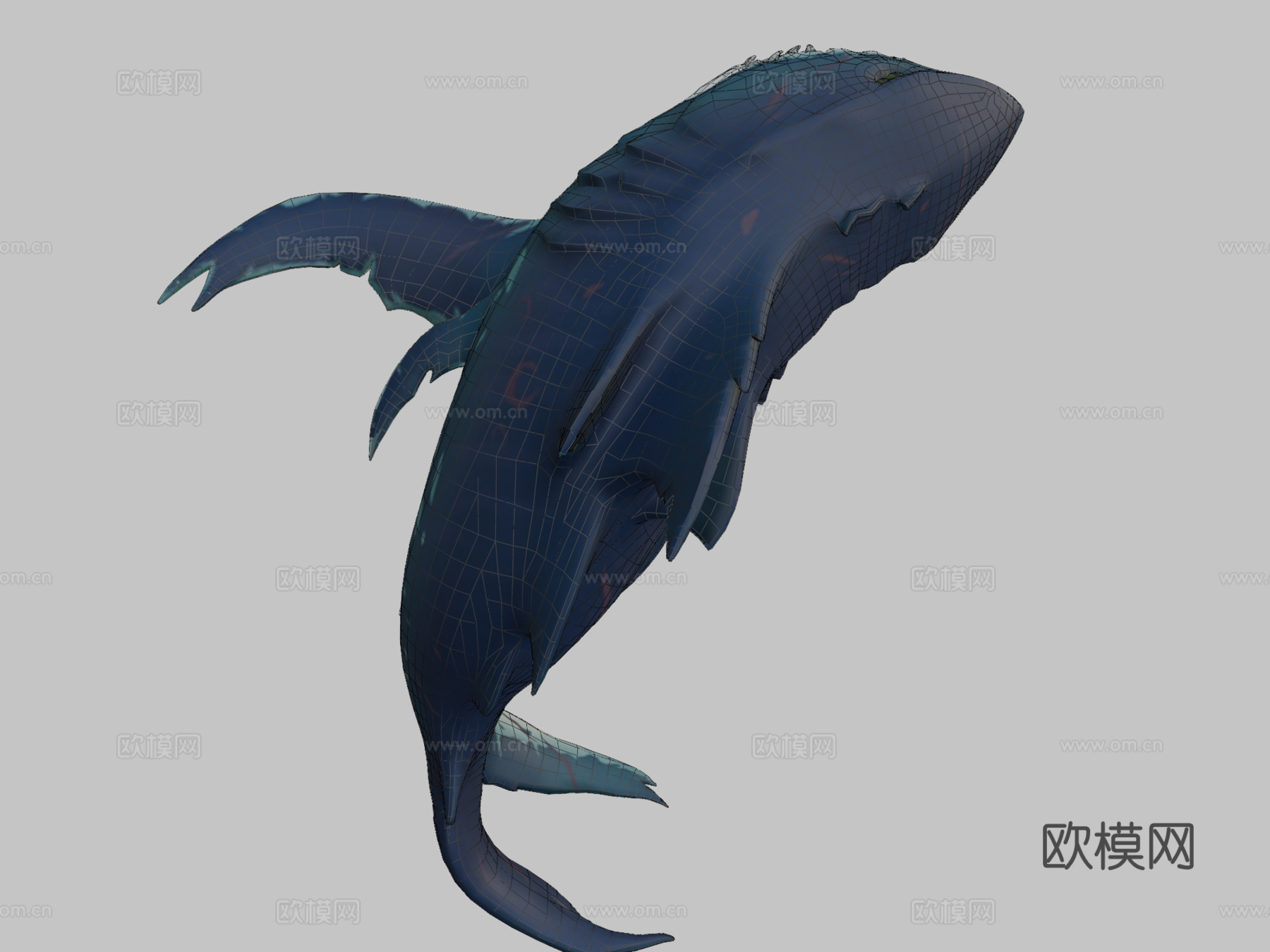 巨齿鲨（盗贼之海）3d模型